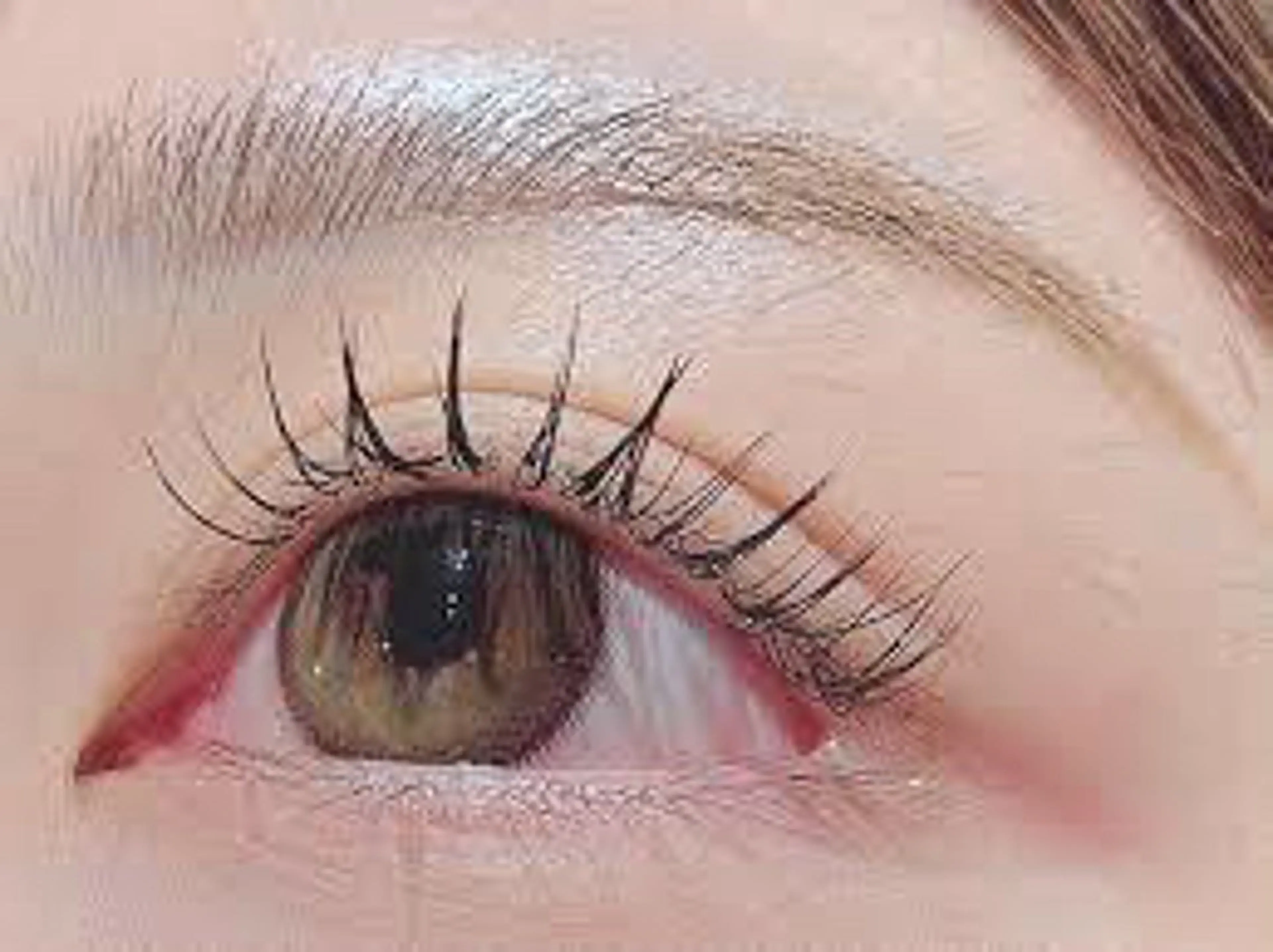 ご新規様✨️フラットマットラッシュ100本​〜​120本の写真