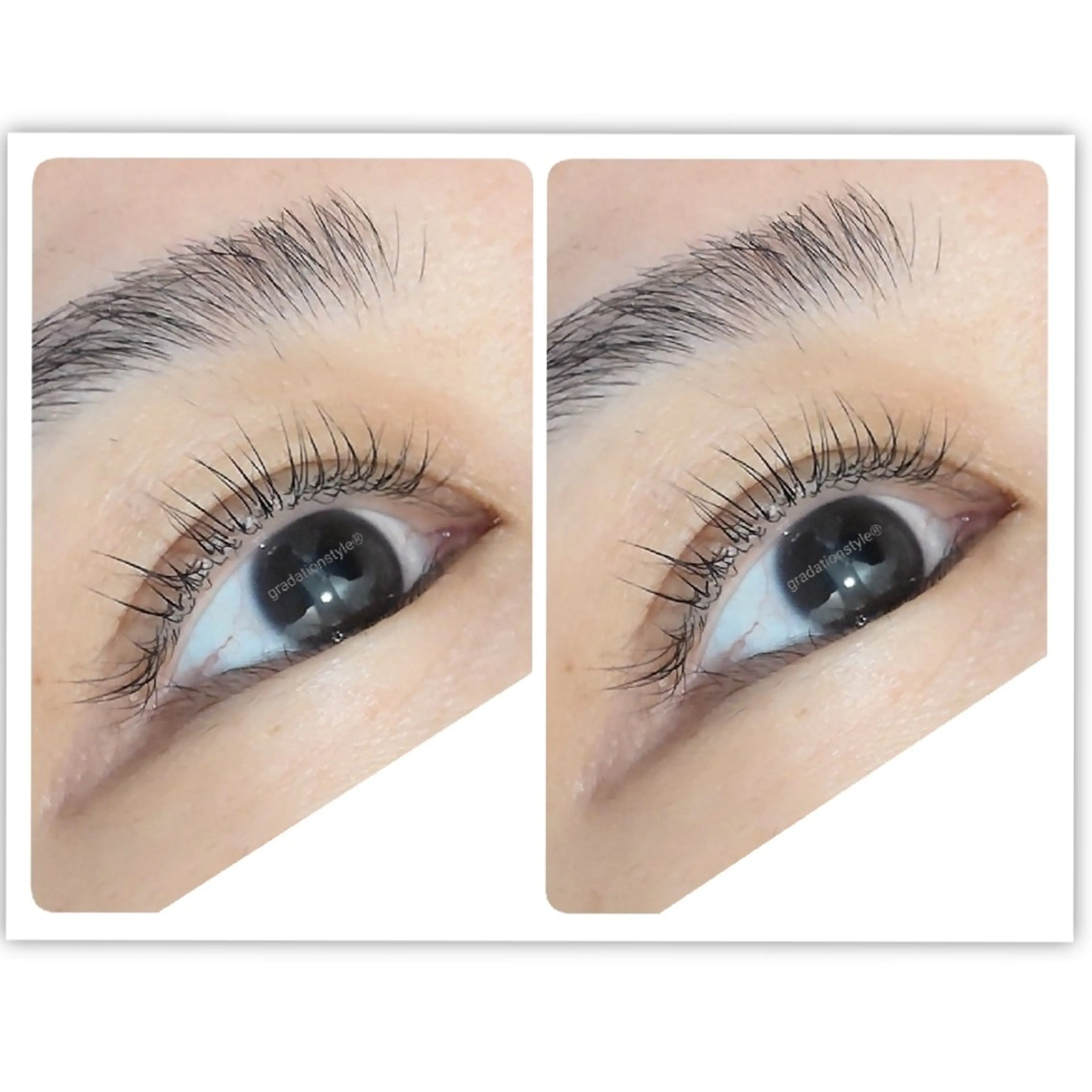 マツエク・マツパ 一重×まつ毛パーマ マツパ 🎼グラデーション スタイル札幌♫*⁠✧のマツエク・マツパデザイン