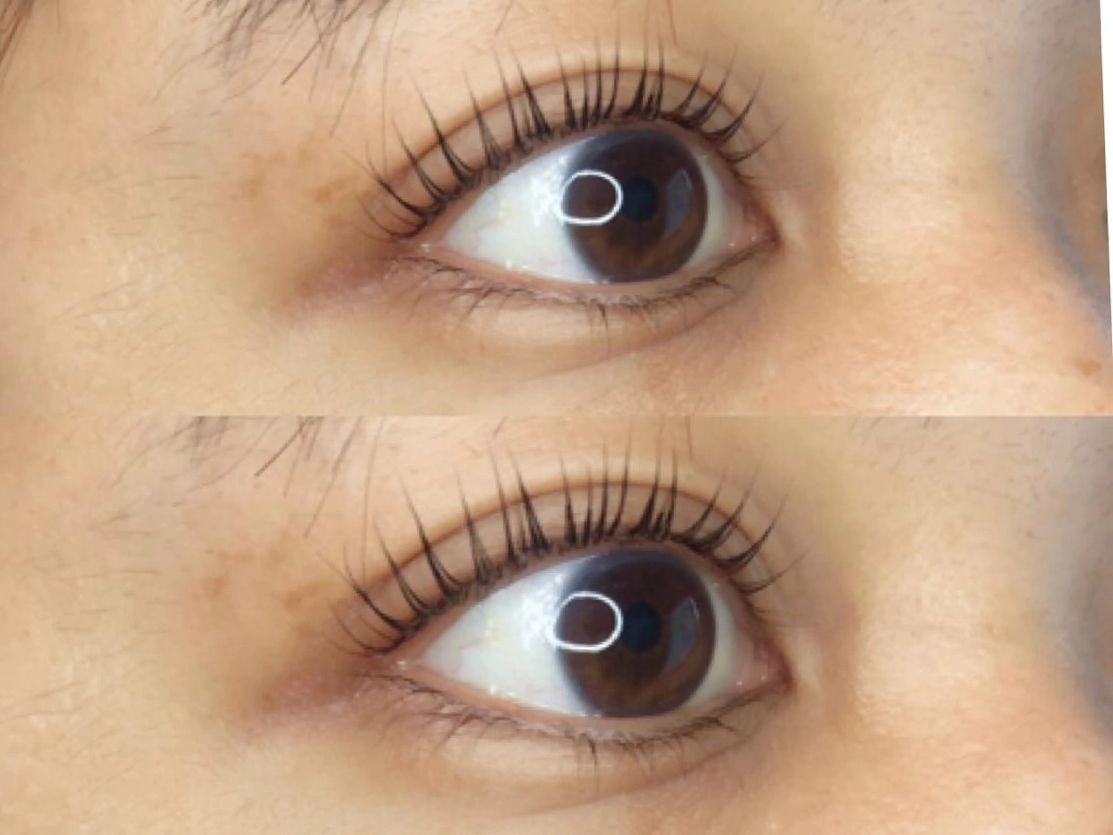 マツエク・マツパ マツパ 《eyelash ｉｉｔｅ》森のマツエク・マツパデザイン