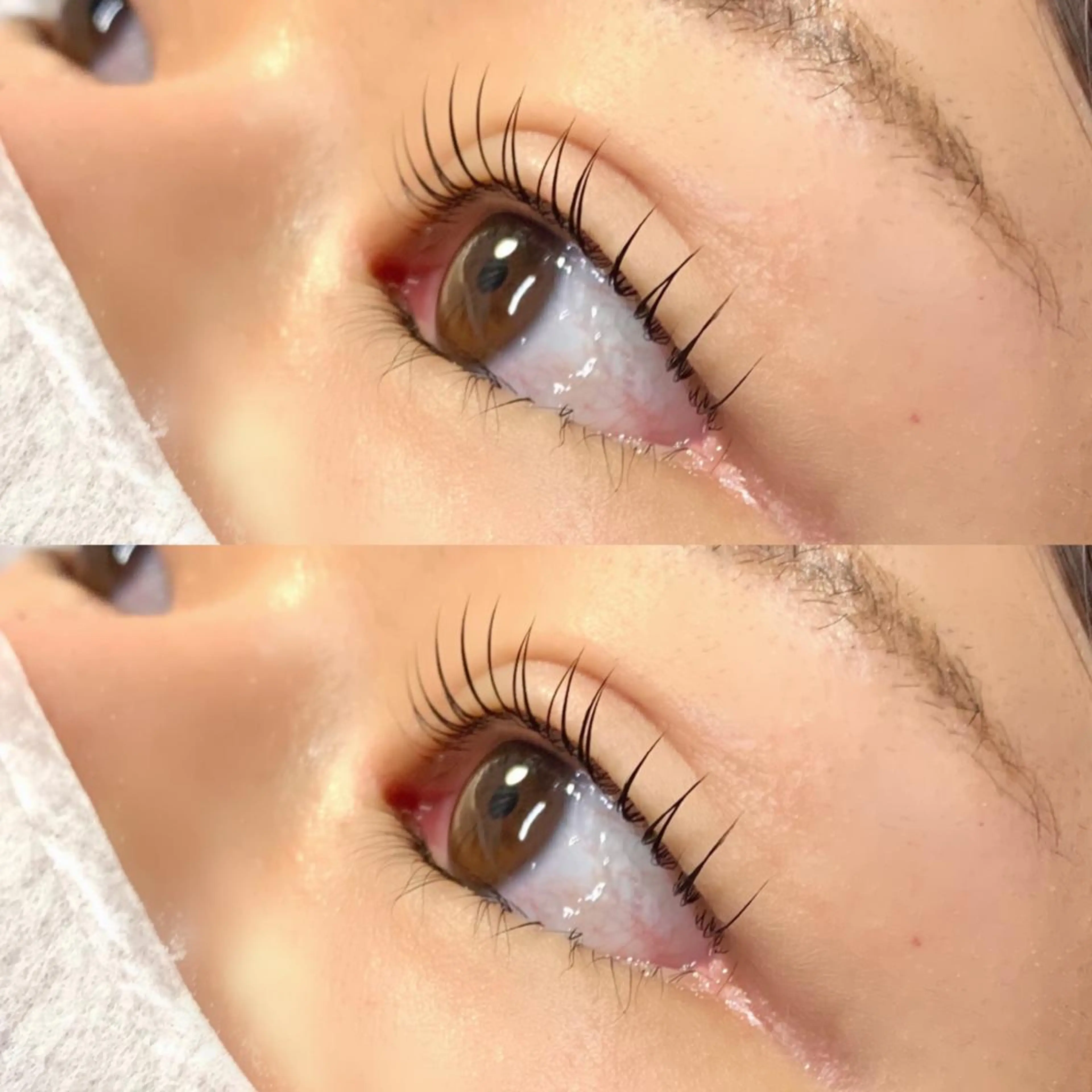 マツエク・マツパ パリジェンヌラッシュリフト BLUE EYES Ebisutaniのマツエク・マツパデザイン