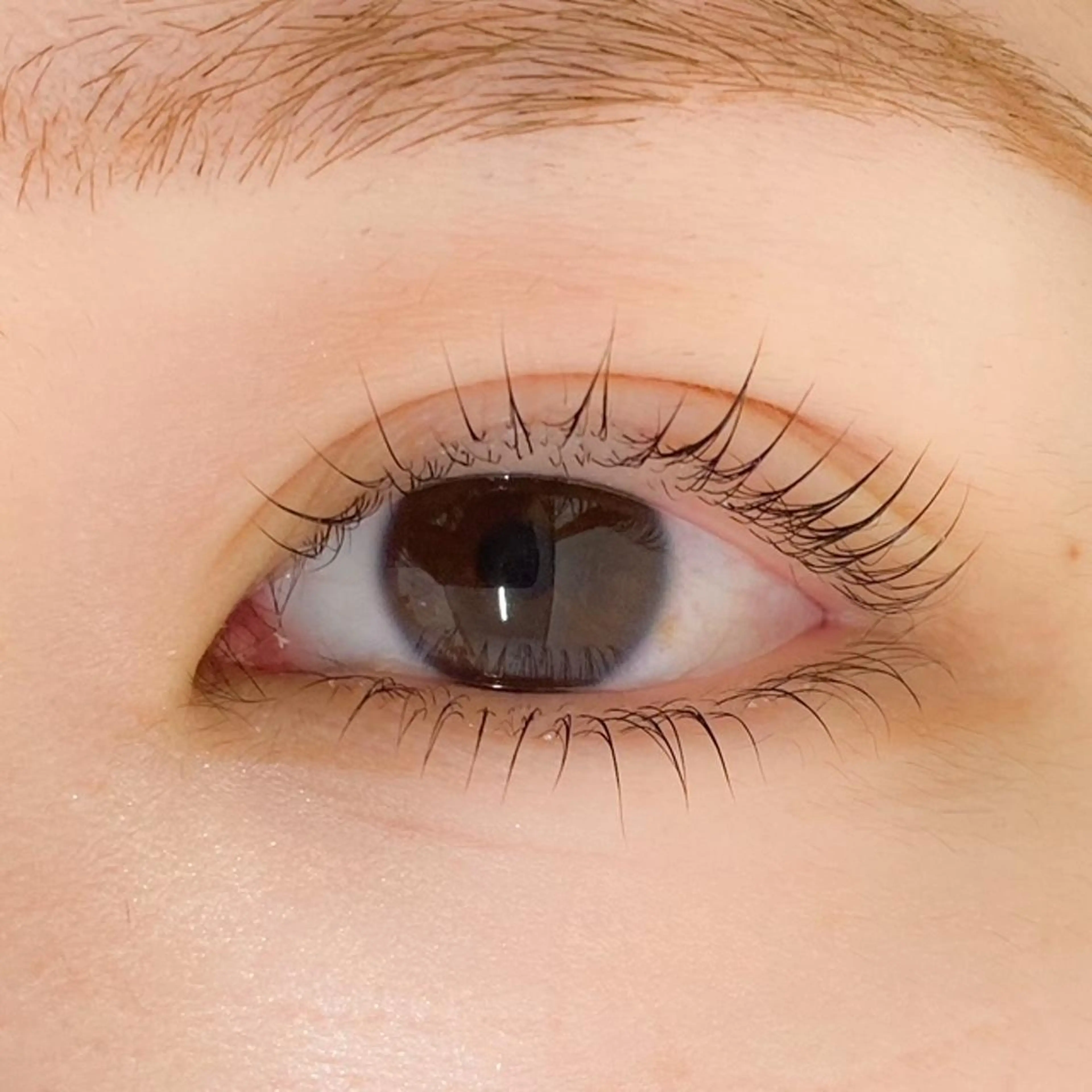 マツエク・マツパ Lifmo立川店 研修生のマツエク・マツパデザイン