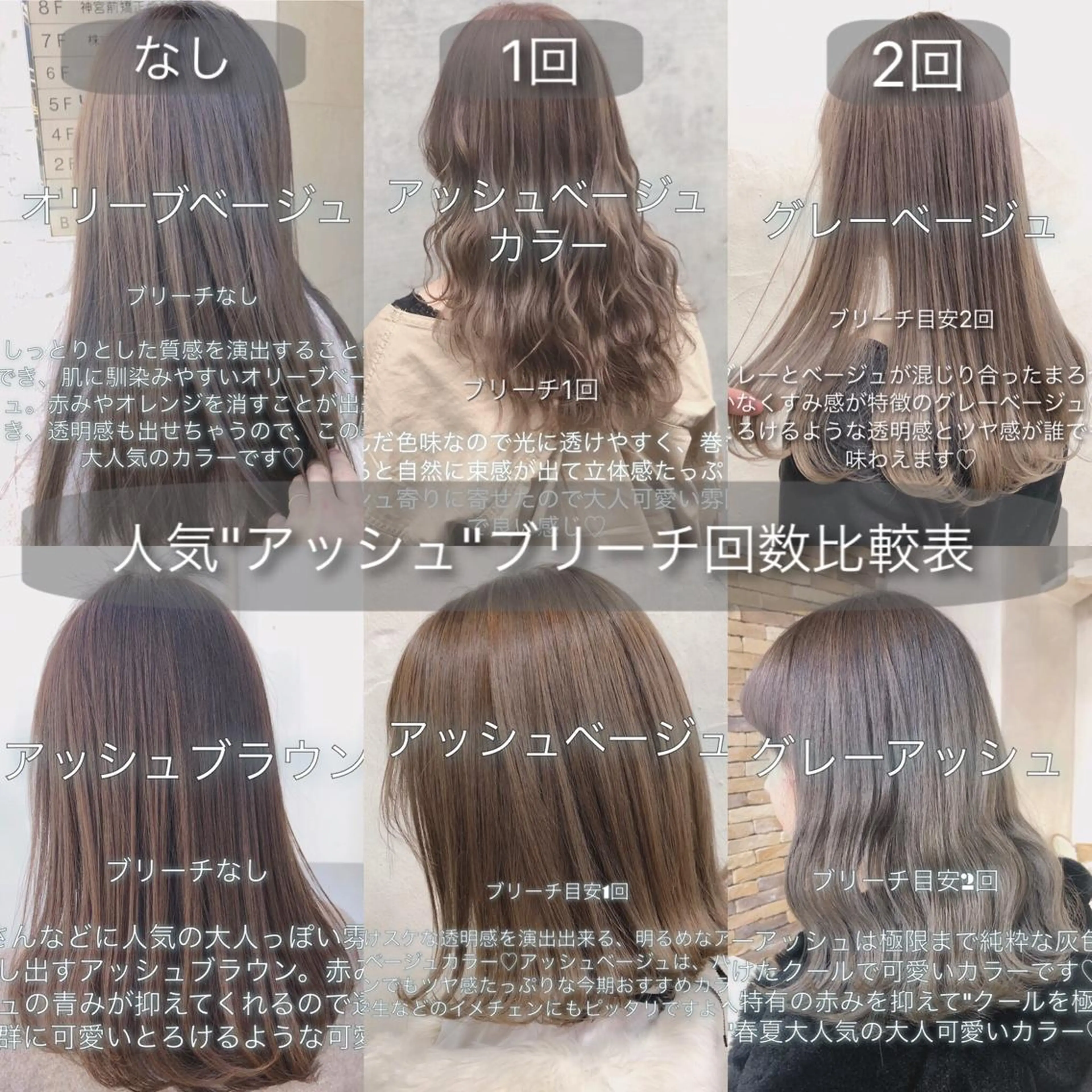 ミディアム アッシュ ヘアカラー ALLY（アリー）所属・ミニモお気に入り数 No.1宍戸雄弥のヘアスタイル