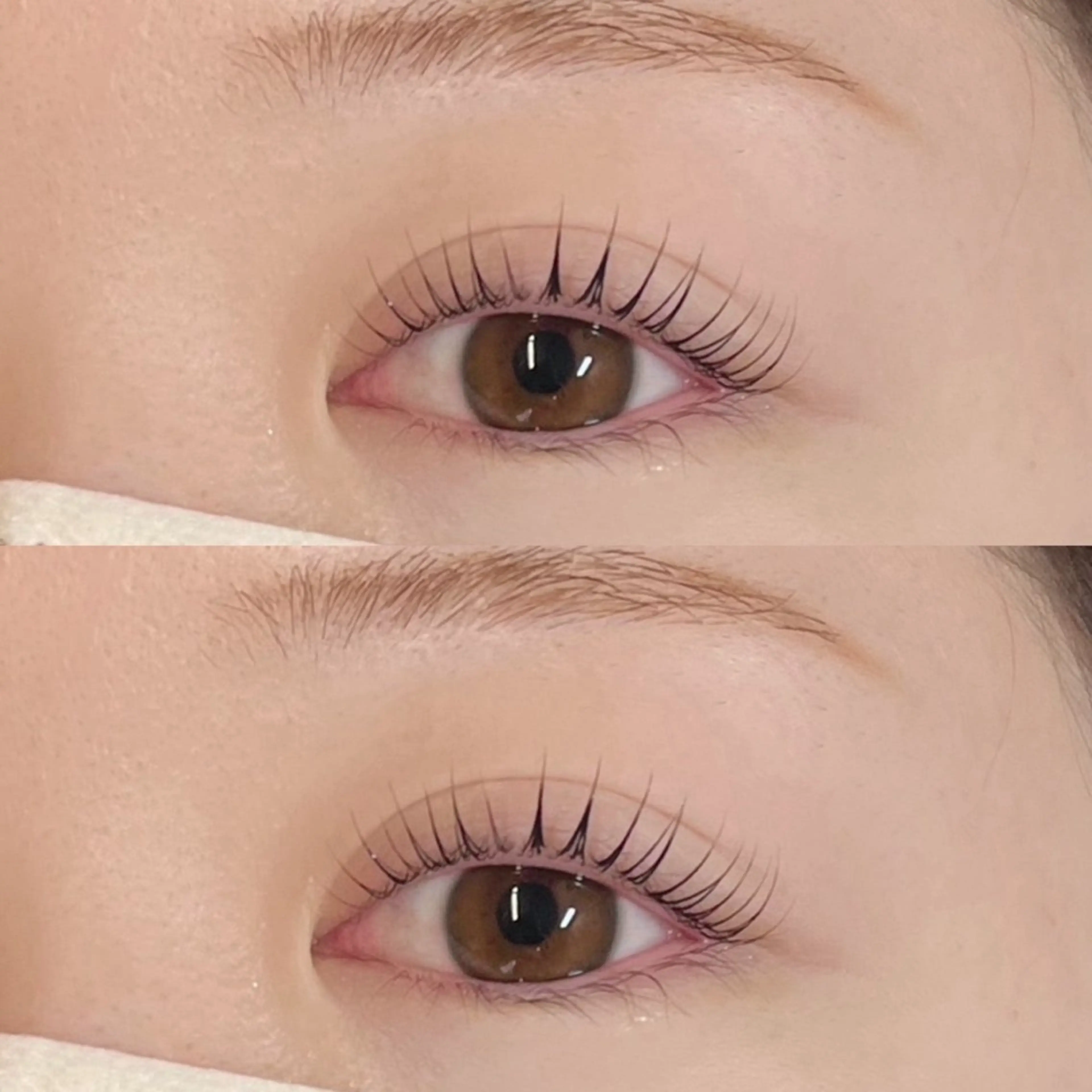 【無料】🎀【9日のご予約の方のみ限定】🎀次世代まつげパーマ(上のみ)👀🤍の写真