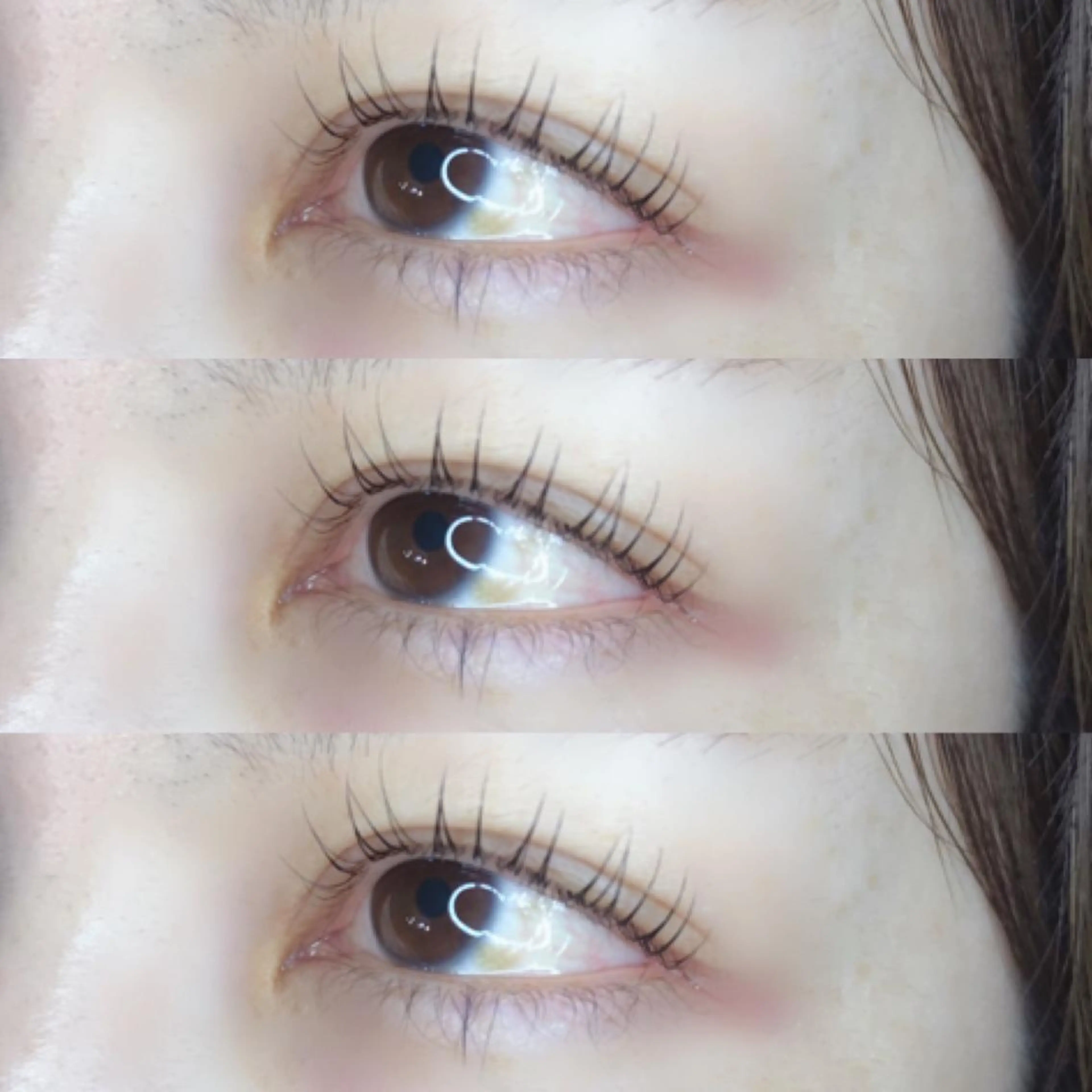 マツエク・マツパ マツパ 《eyelash ｉｉｔｅ》森のマツエク・マツパデザイン