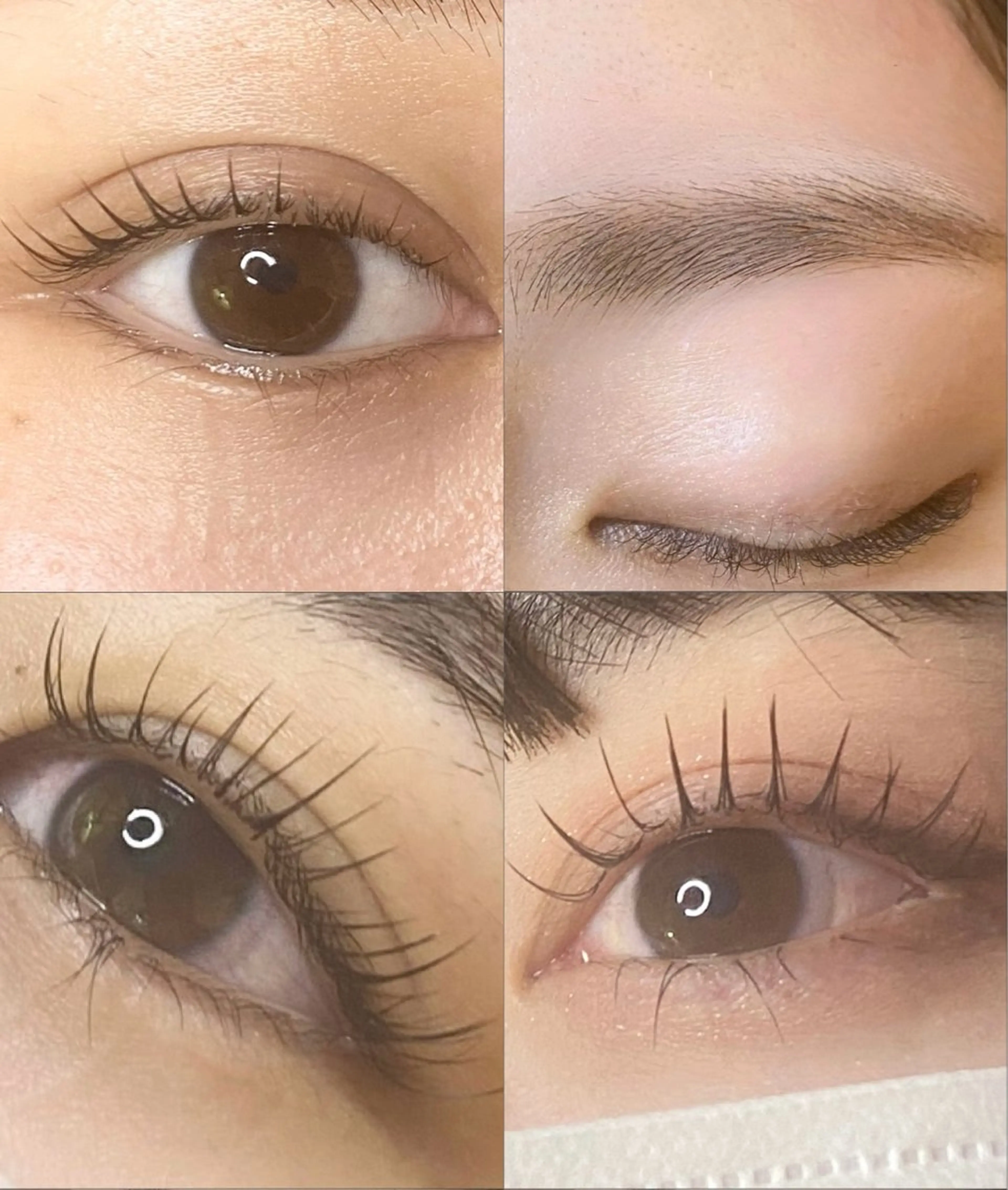 フラットラッシュ120本&アイブロウwaxの写真