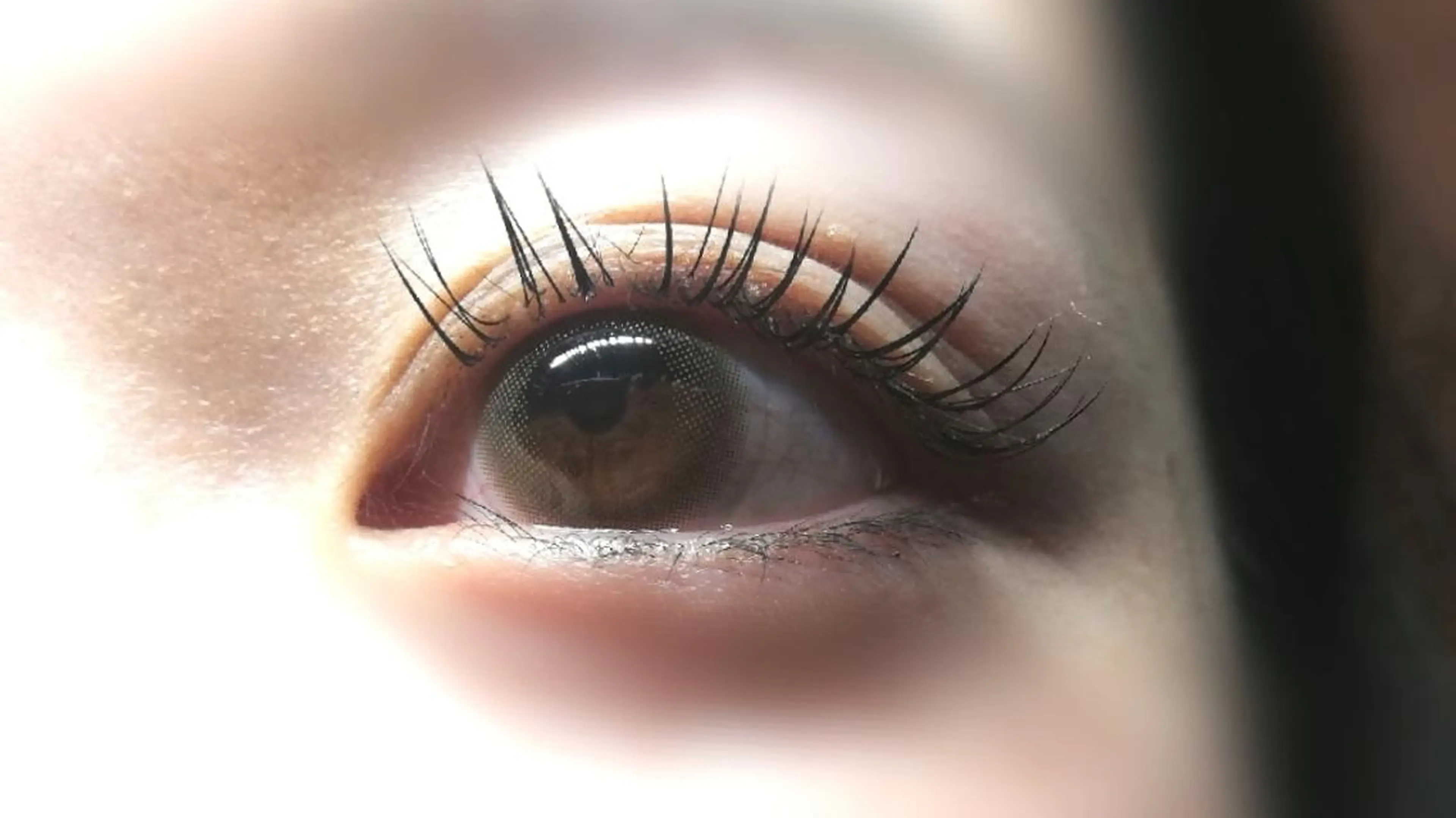 マツエク・マツパ Cカール キュート セーブル angelux 所属・完全個室サロン🌹 angelux🌹のマツエク・マツパデザイン