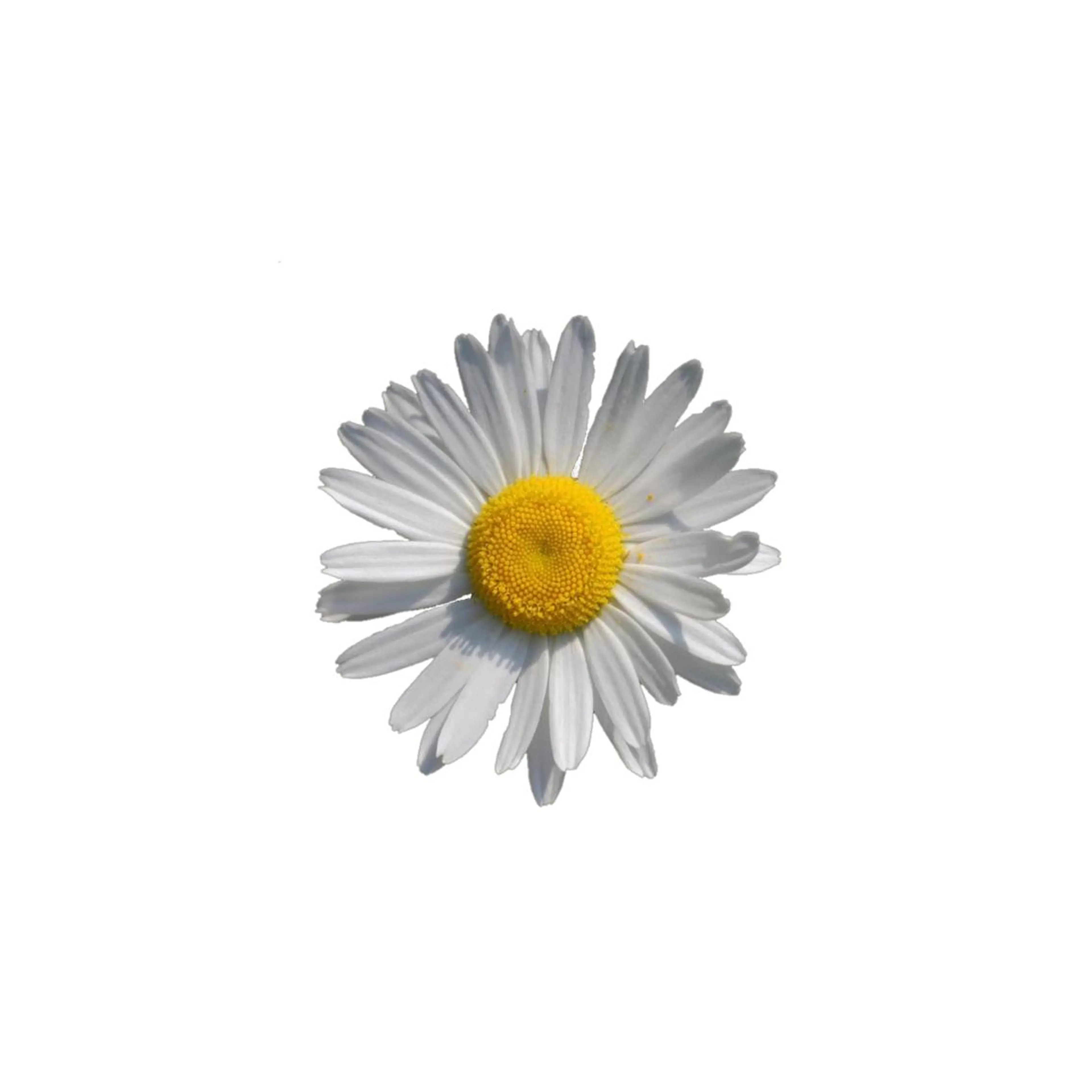 レイヤーカット ♥kanaのヘアスタイル