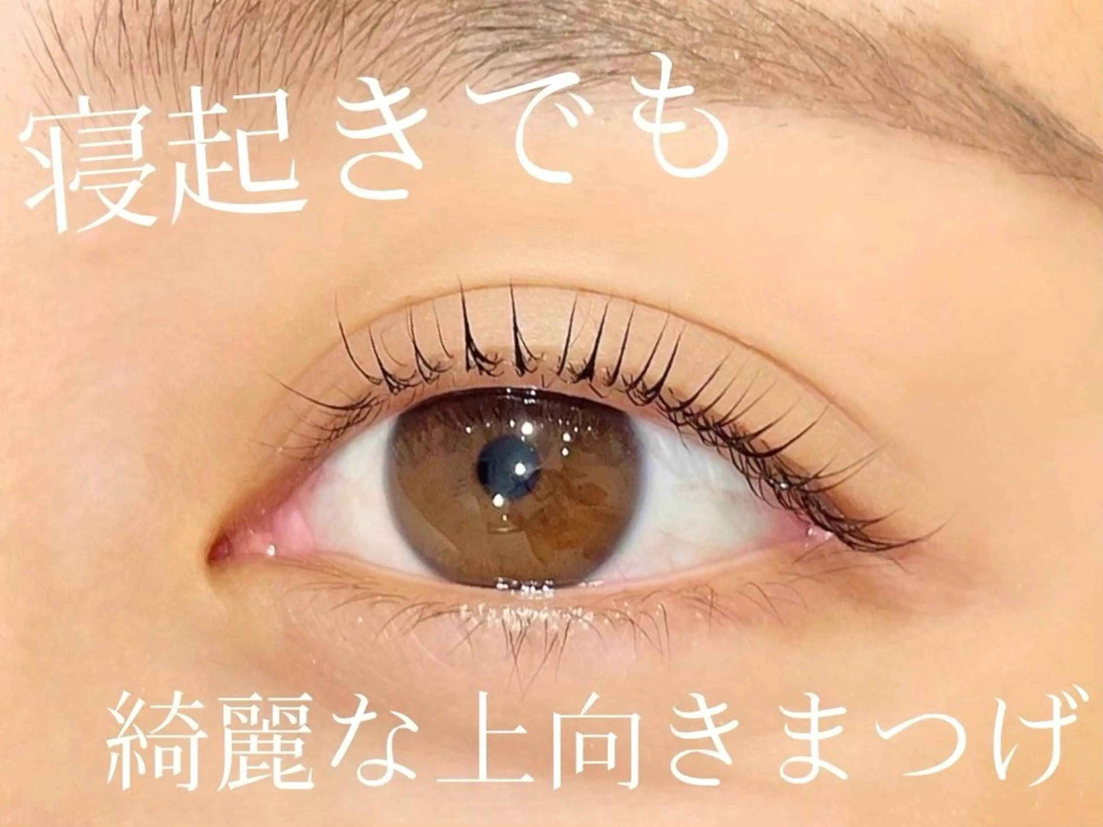 👀ノーマルまつ毛パーマ✨💖　オフ込み＋高級コーティング💝🤲🏻の写真