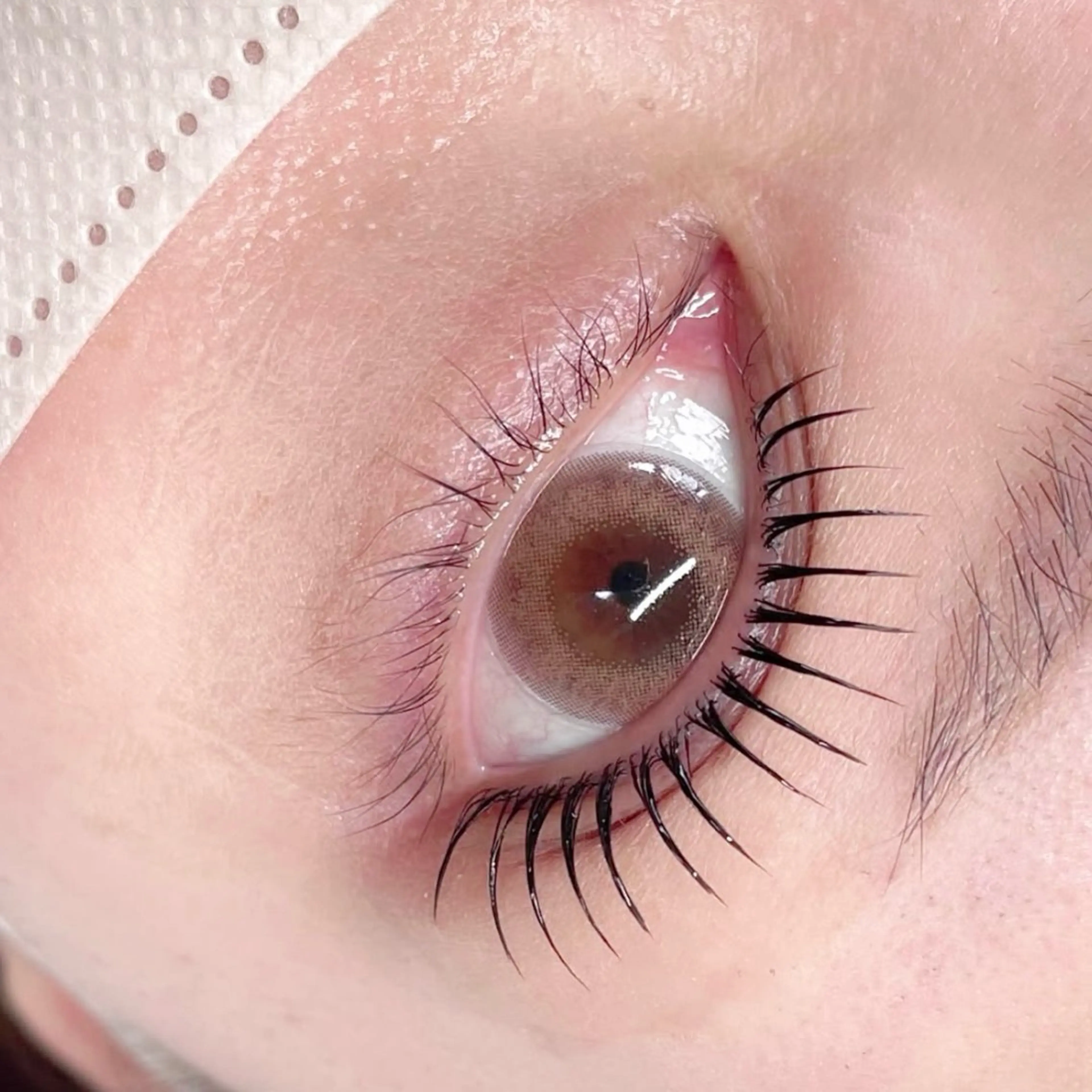 マツエク・マツパ 束感まつ毛 韓国風マツエク マツパ CiCi🫧 eyelashのマツエク・マツパデザイン