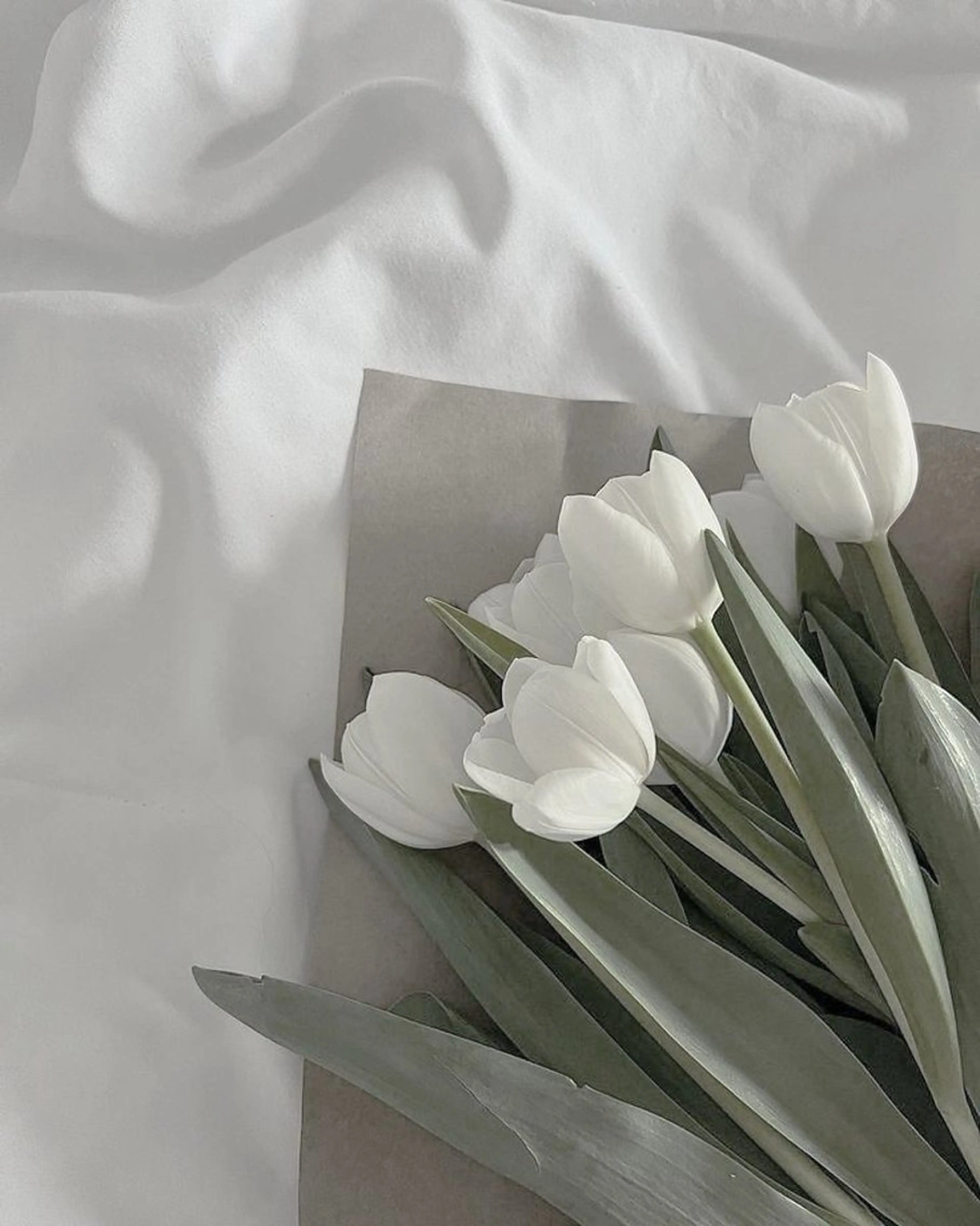 SSINSTUDIO 野口の眉毛・アイブロウイメージ