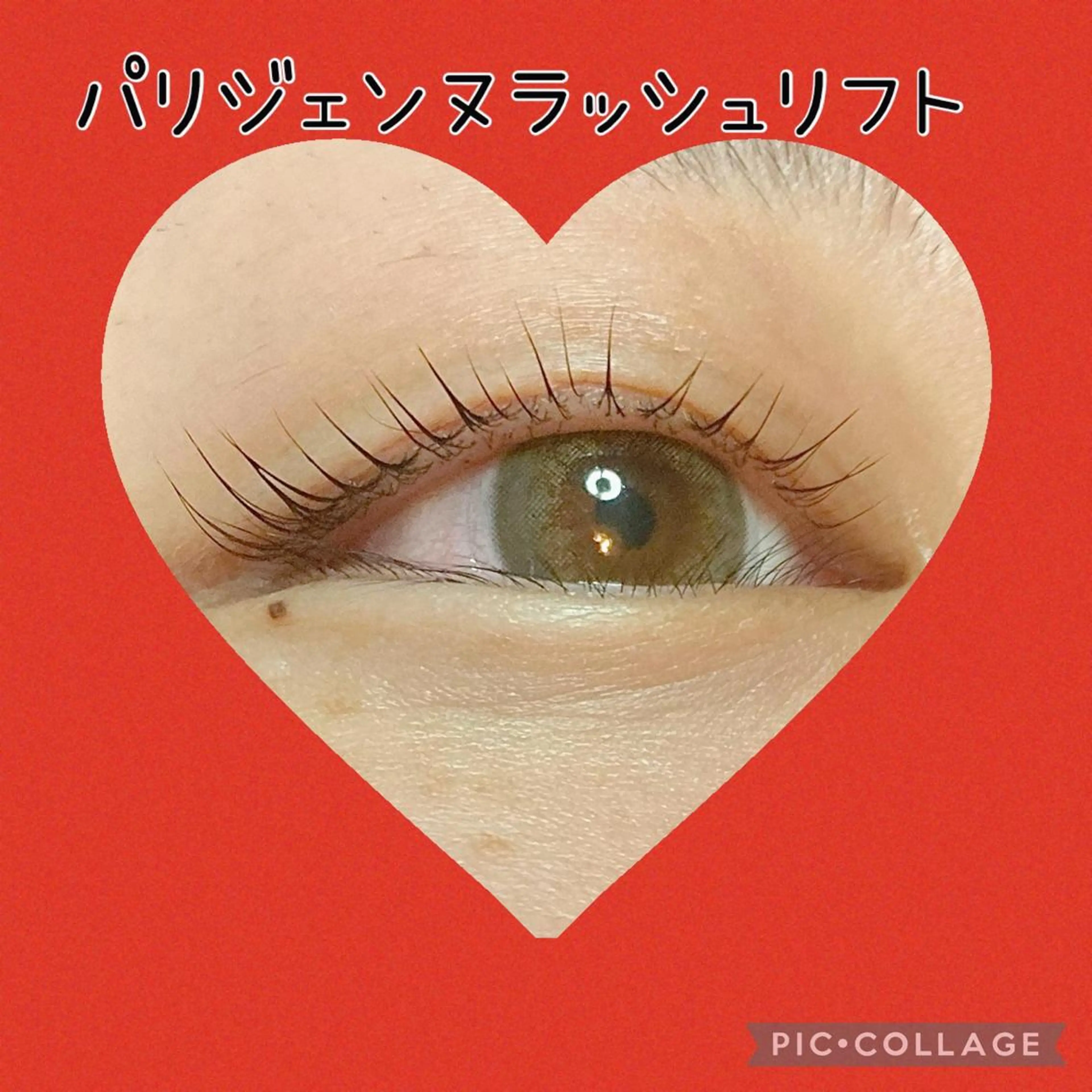 マツエク・マツパ パリジェンヌラッシュリフト マツパ トータルビューティーサロンALICE所属・Yanagida Yurieのマツエク・マツパデザイン