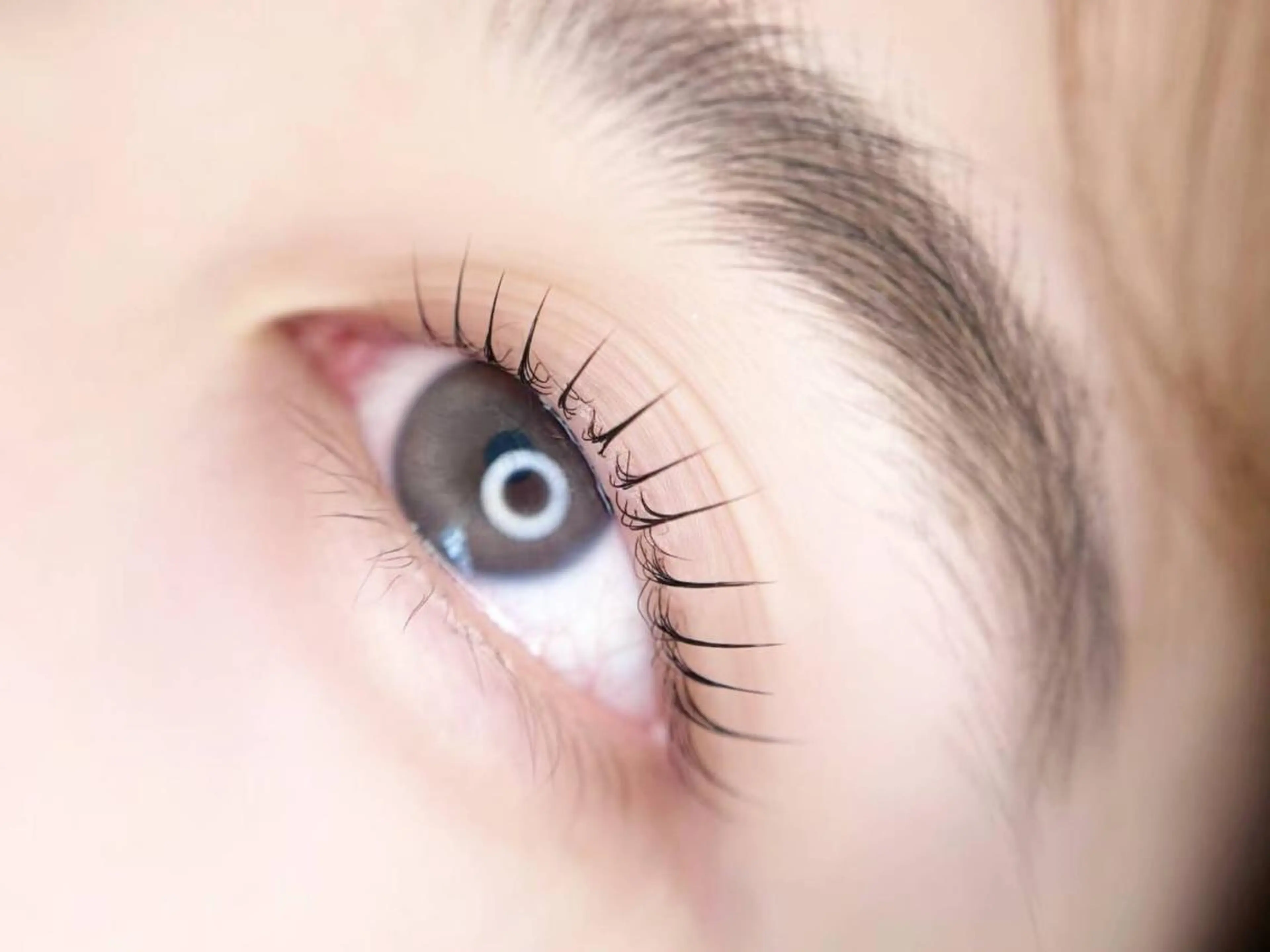 マツエク・マツパ マツパ 齋藤🕊 Lutenaのマツエク・マツパデザイン