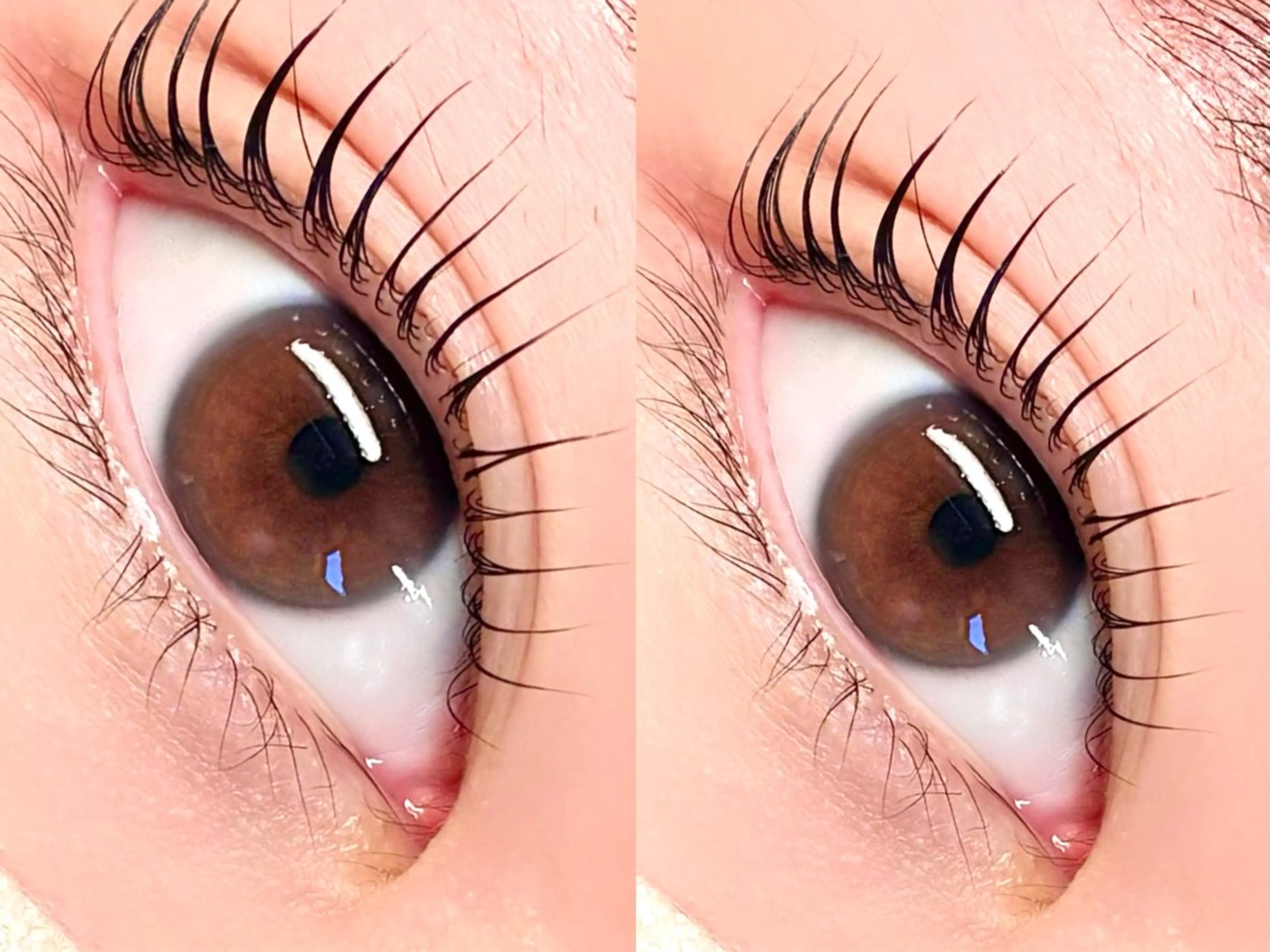 【12月限定】パリジェンヌラッシュリフト🫧 《アイシャンプー&美容液コーティング込み》の写真