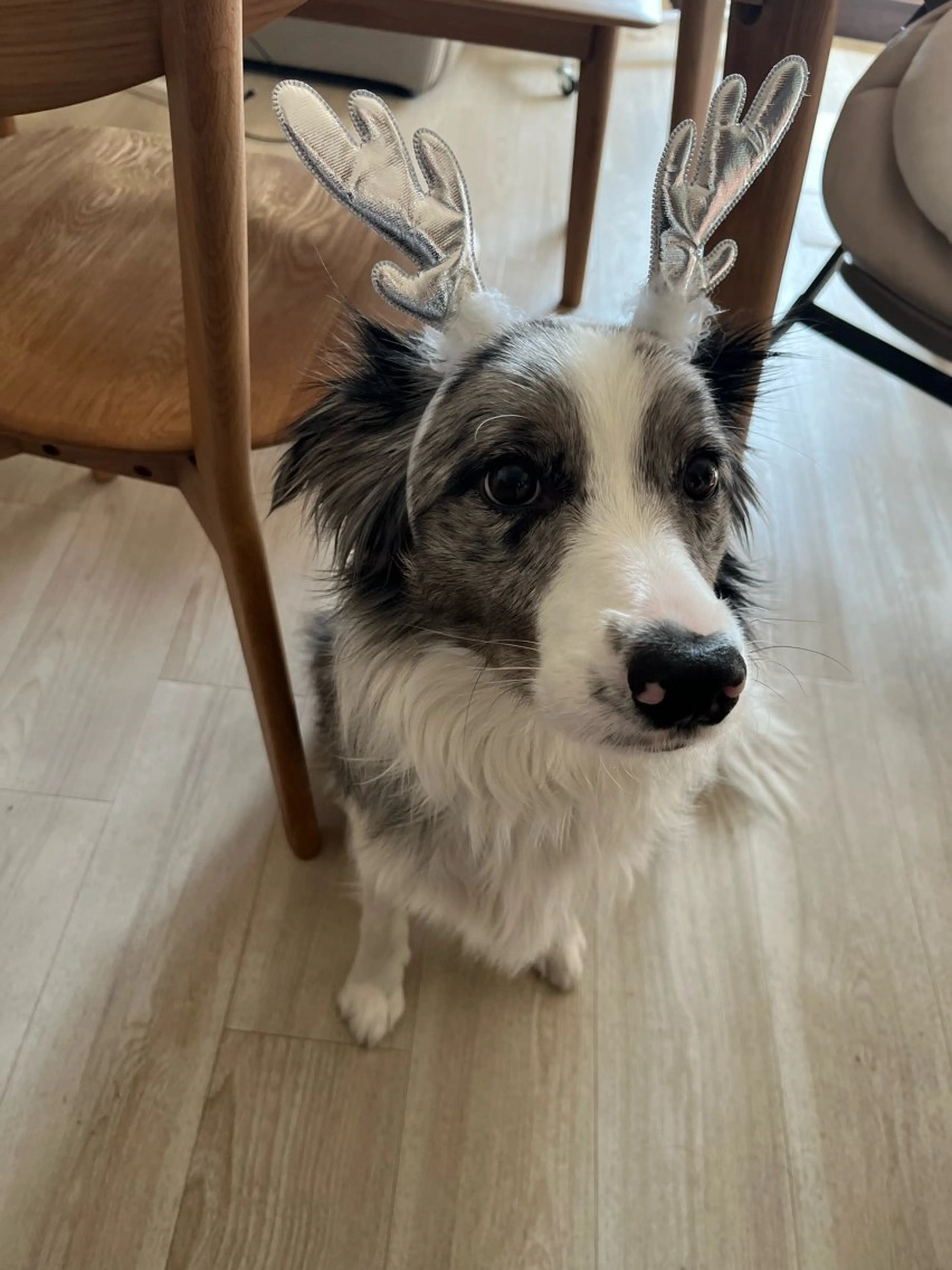 ネイル ハンドネイル Lélia nail Himariのネイルデザイン