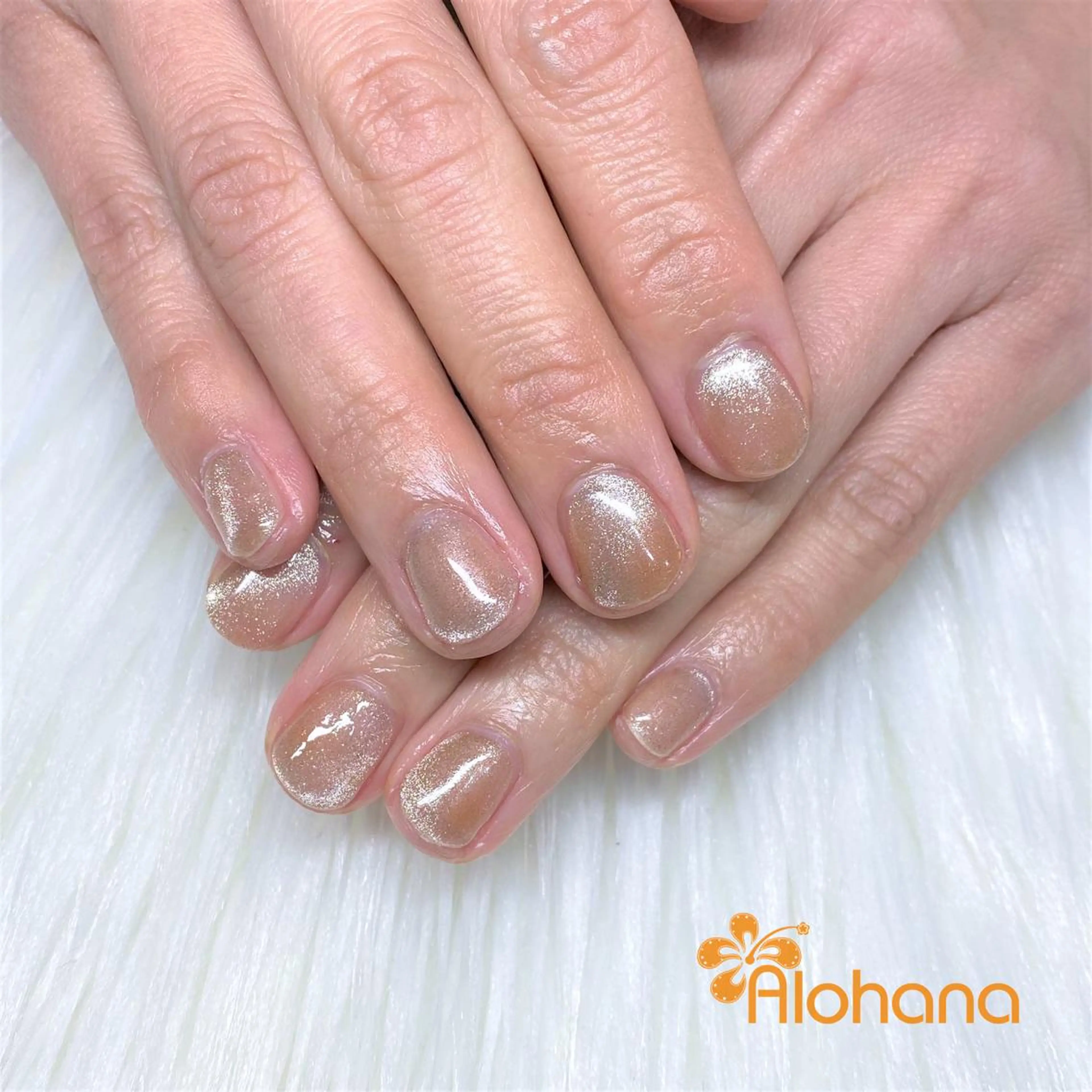 ネイル マグネットネイル ハンドネイル Alohana所属・Alohana Minaのネイルデザイン