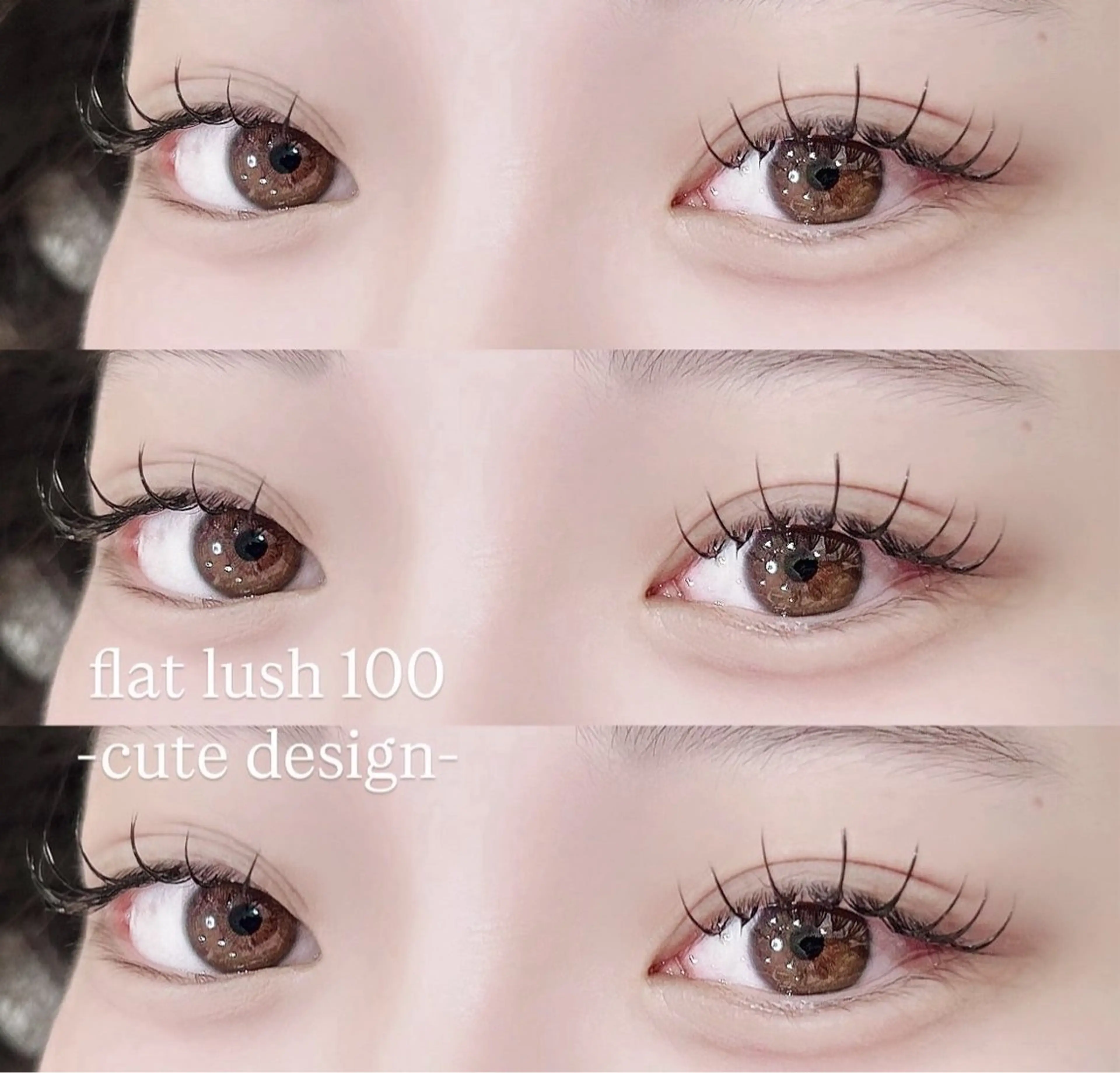《〜11/30まで》マツエクflat lash 〜120本(コーティング付き)の写真