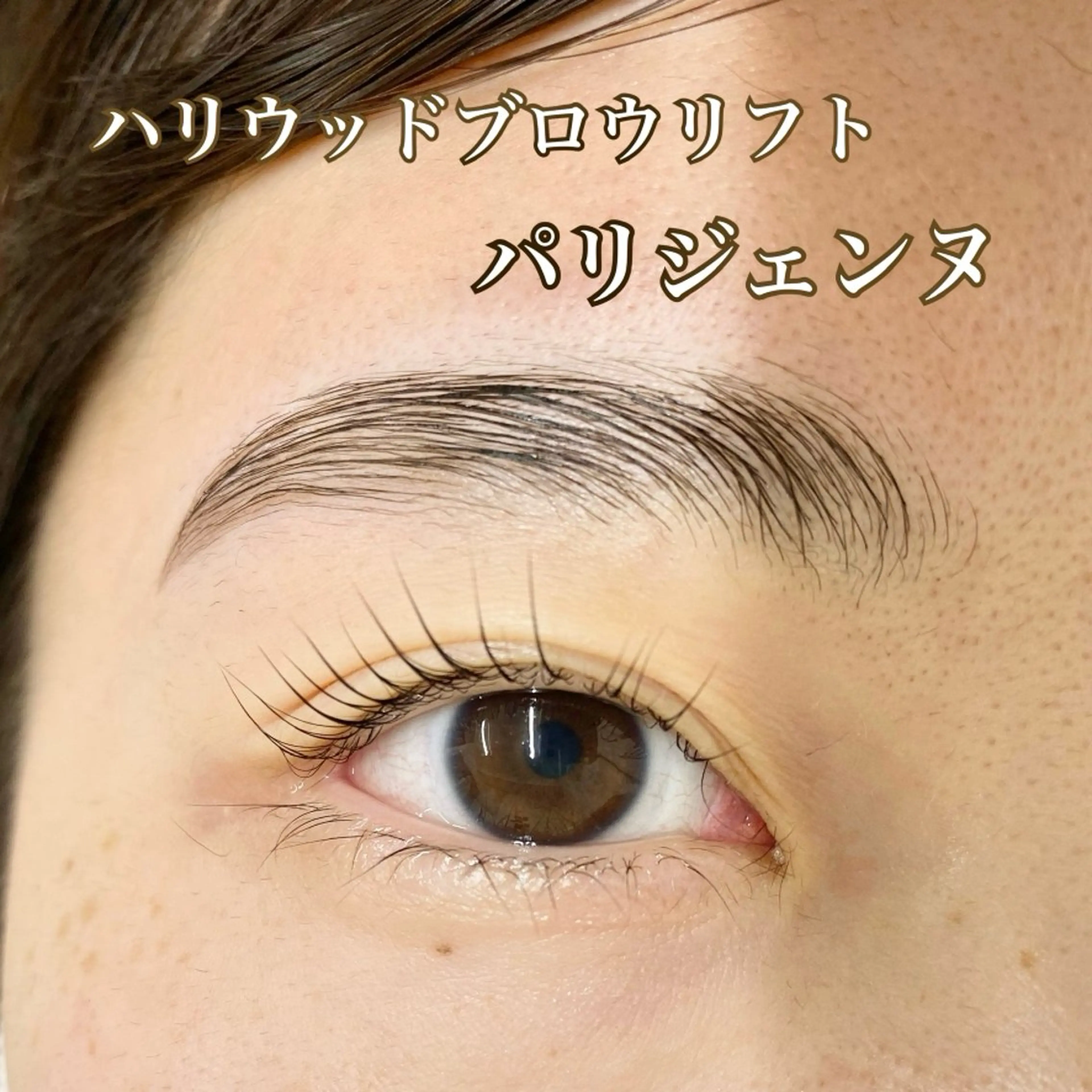 アイブロウ 荒井 千里の眉毛・アイブロウイメージ