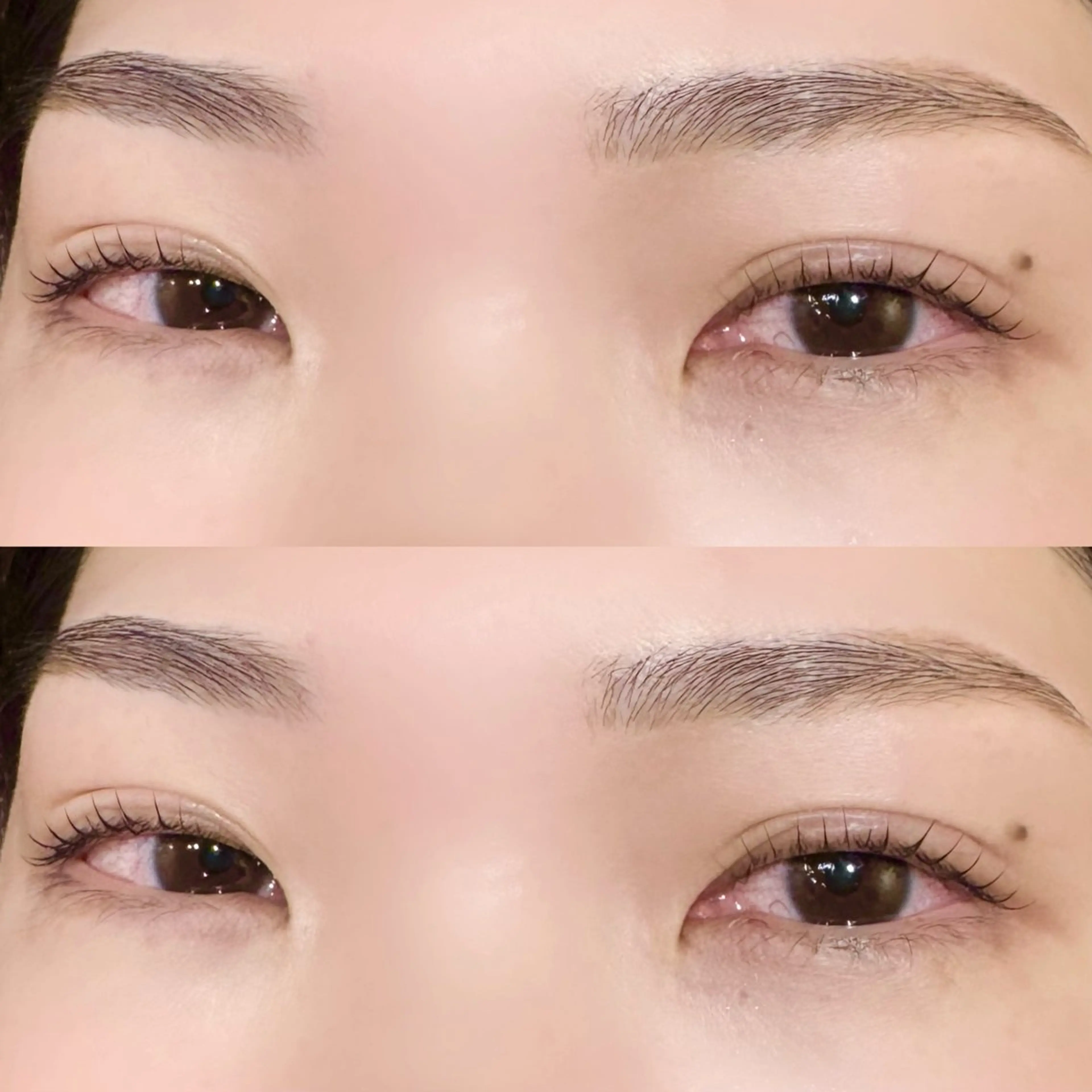 ご新規様限定❕パリジェンヌorラッシュリフト + 眉毛スタイリングのセットメニュー✨👁️🫧オフありの写真