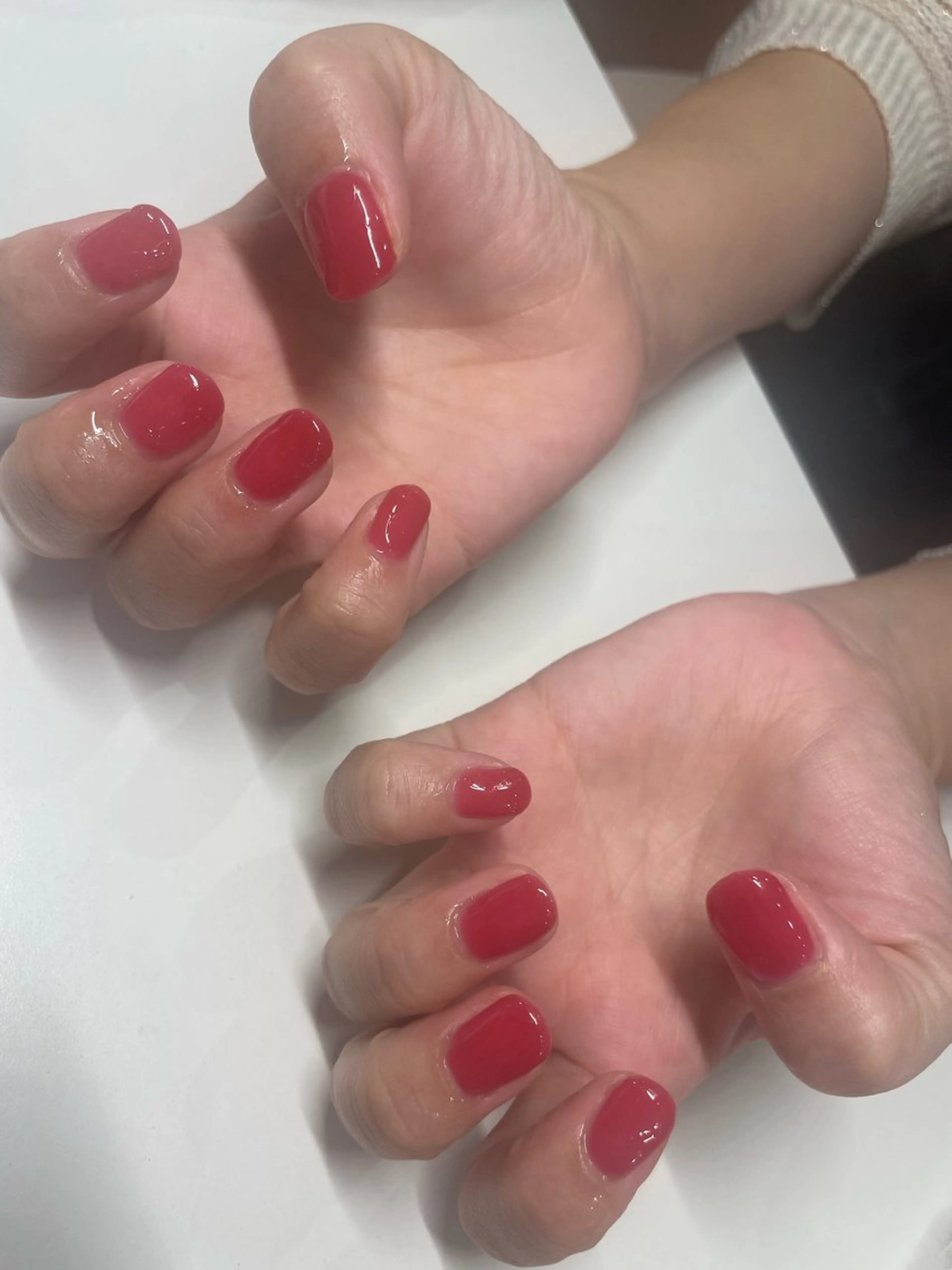 オフなし🌷無料ワンカラーモデルの写真