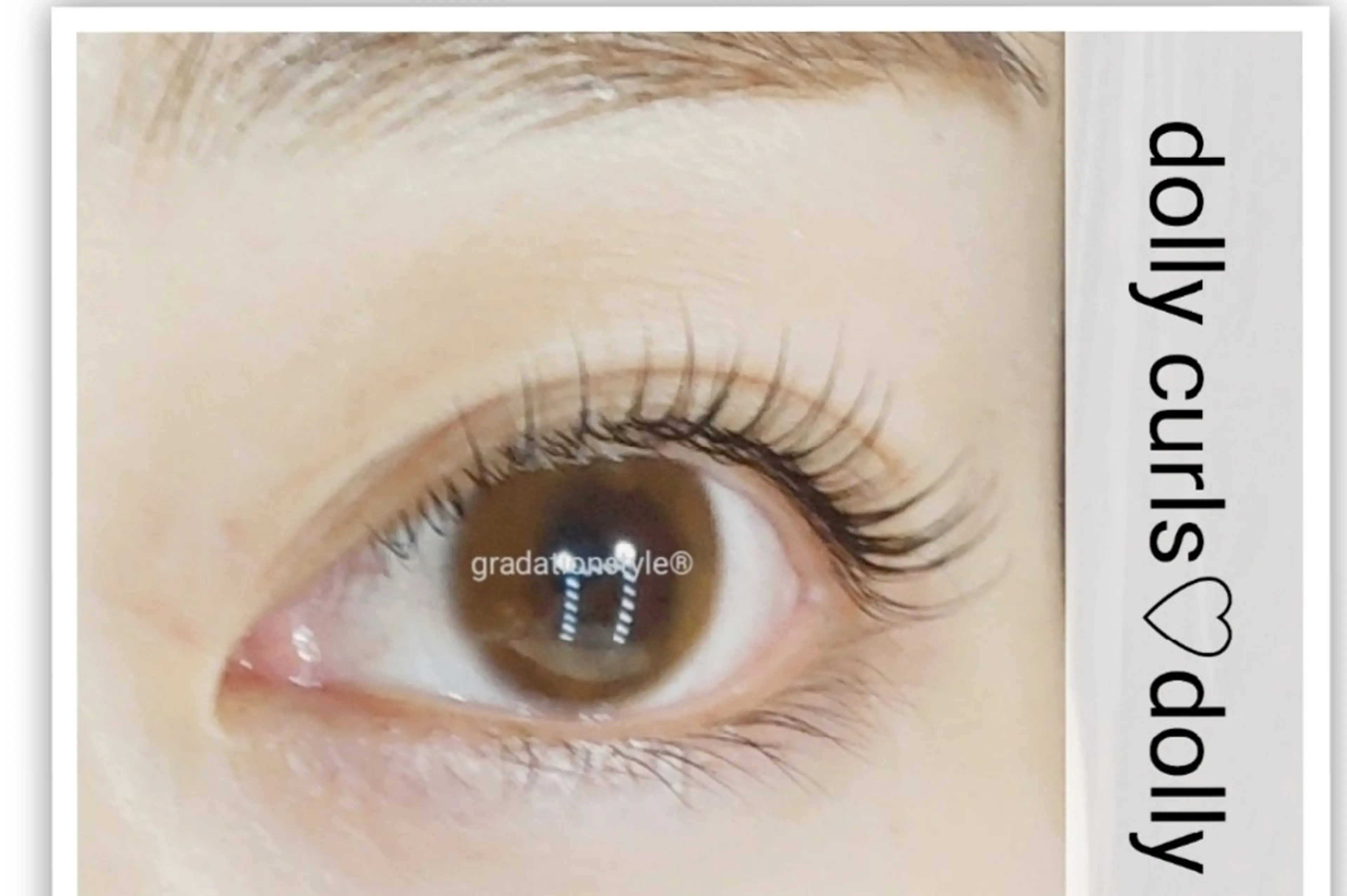 マツエク・マツパ 🎼グラデーション スタイル札幌♫*✧のマツエク・マツパデザイン