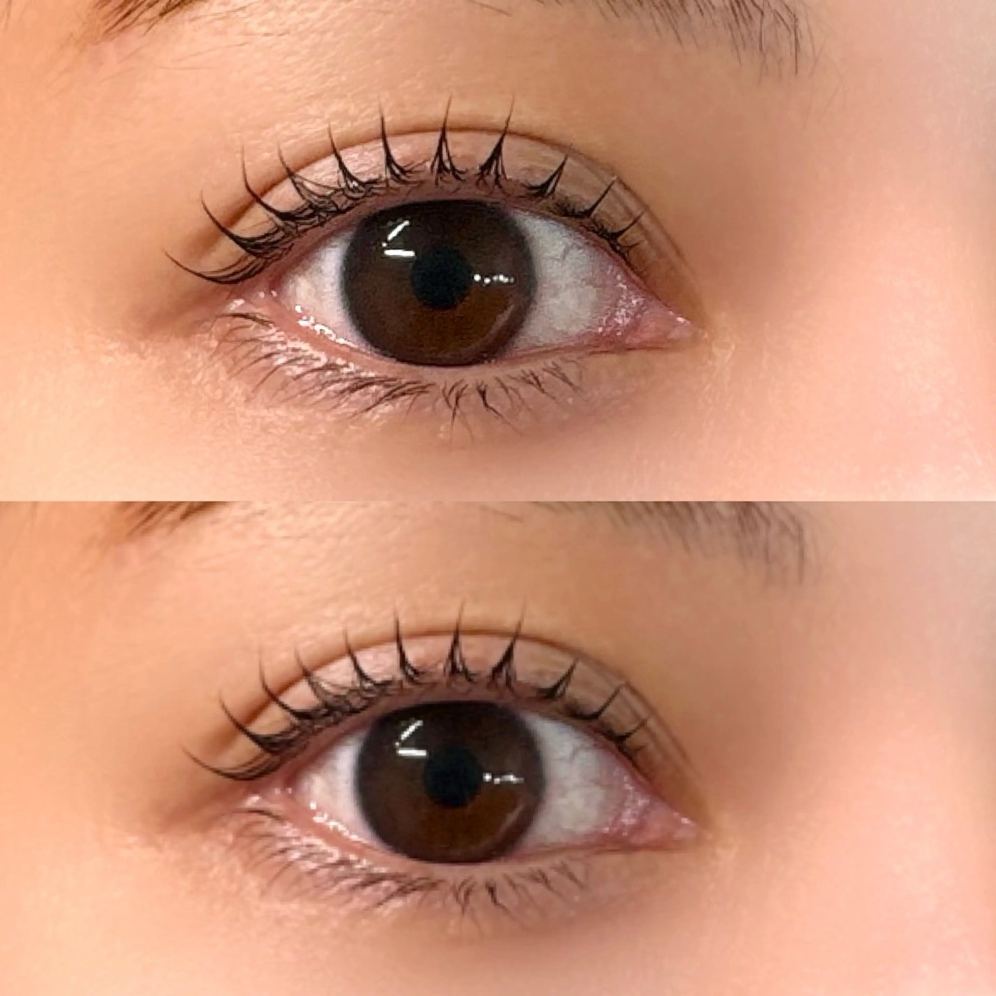 マツエク・マツパ ケラチンラッシュリフト パリジェンヌラッシュリフト Chipi 薄田の眉毛・アイブロウイメージ