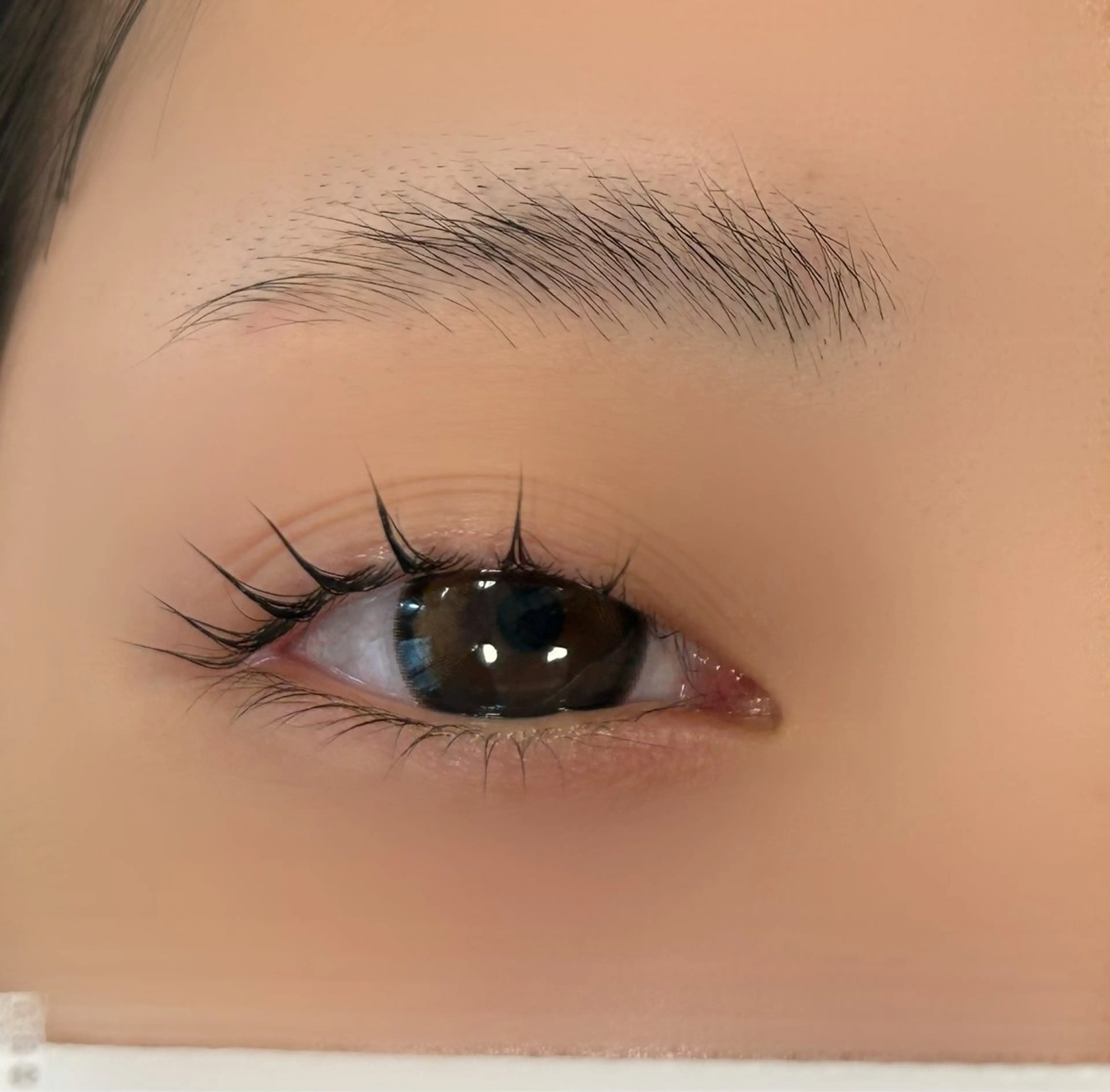 パリジェンヌラッシュリフト🪄の写真