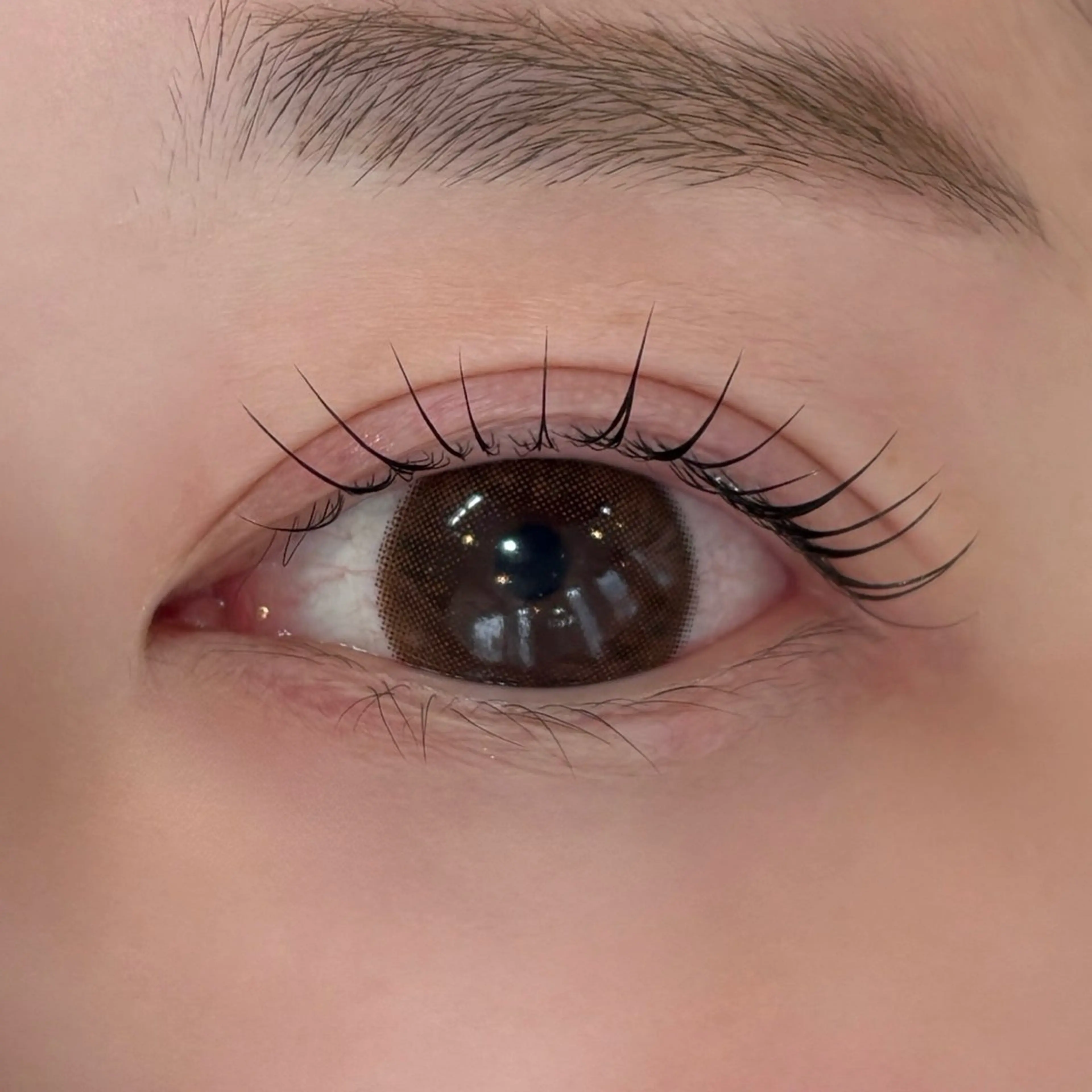 スタッフ応援クーポン🎀 ラッシュリフト🪄(まつ毛パーマ)アイシャンプー、トリートメント、コーティング付 ¥3000の写真