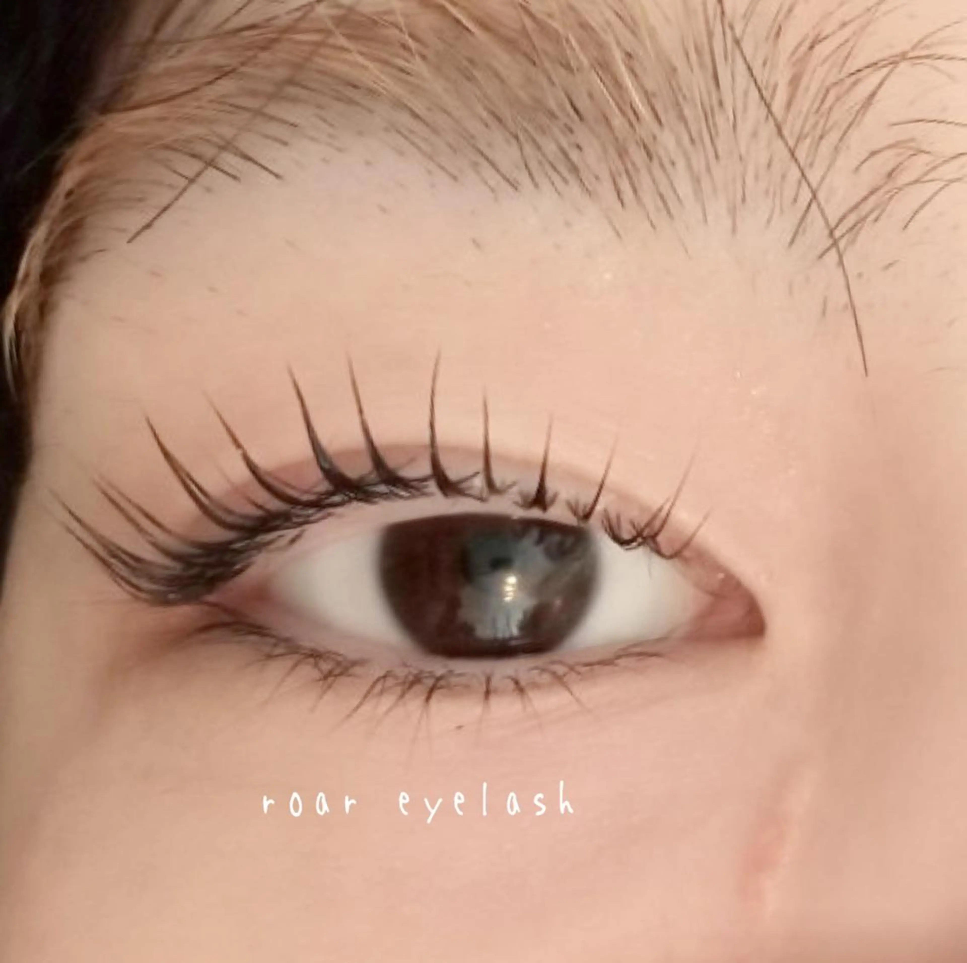 マツエク・マツパ ROAR🌹 eyelashのマツエク・マツパデザイン