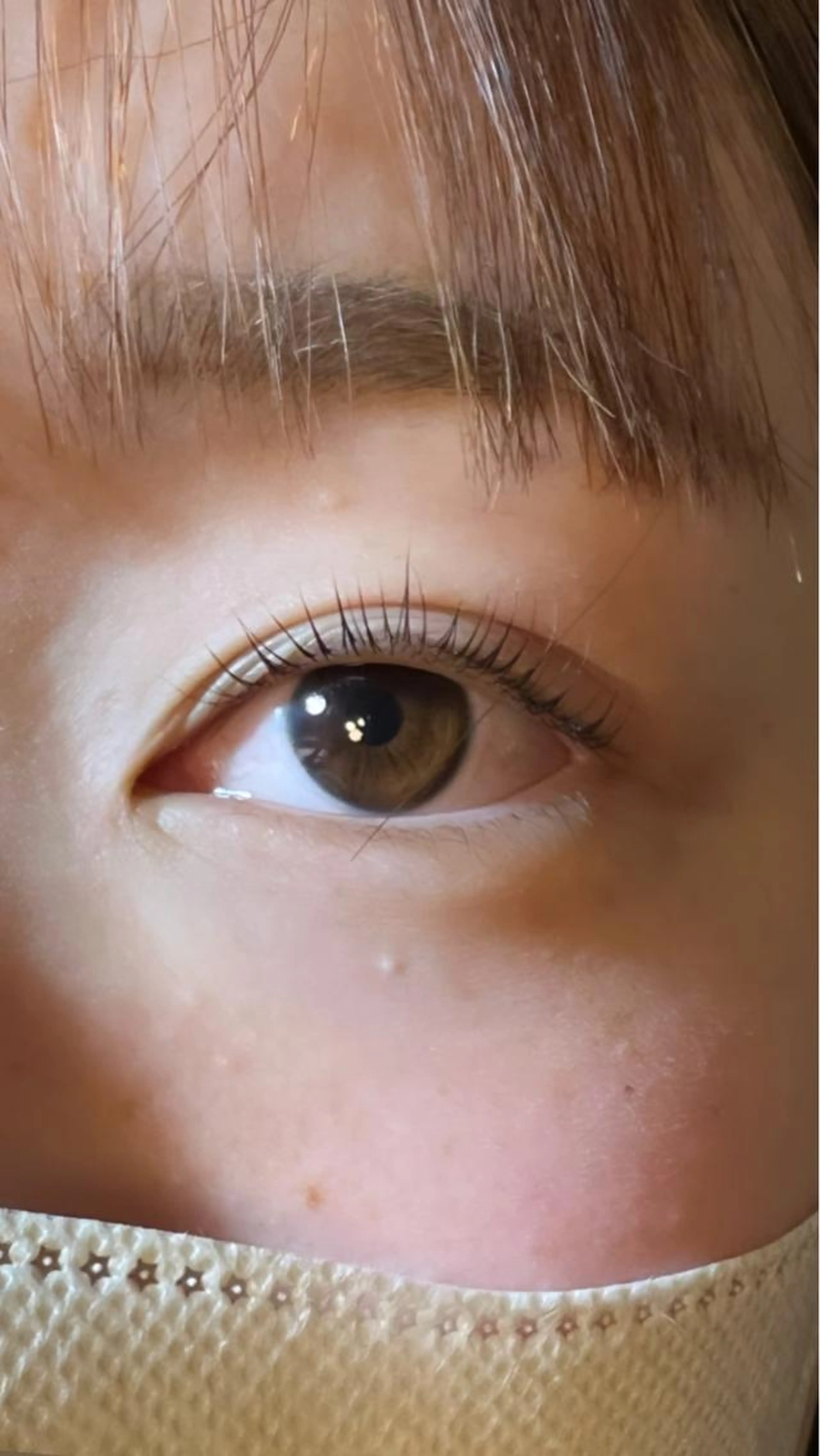 秋限定クーポン！似合わせまつ毛パーマ👁️の写真