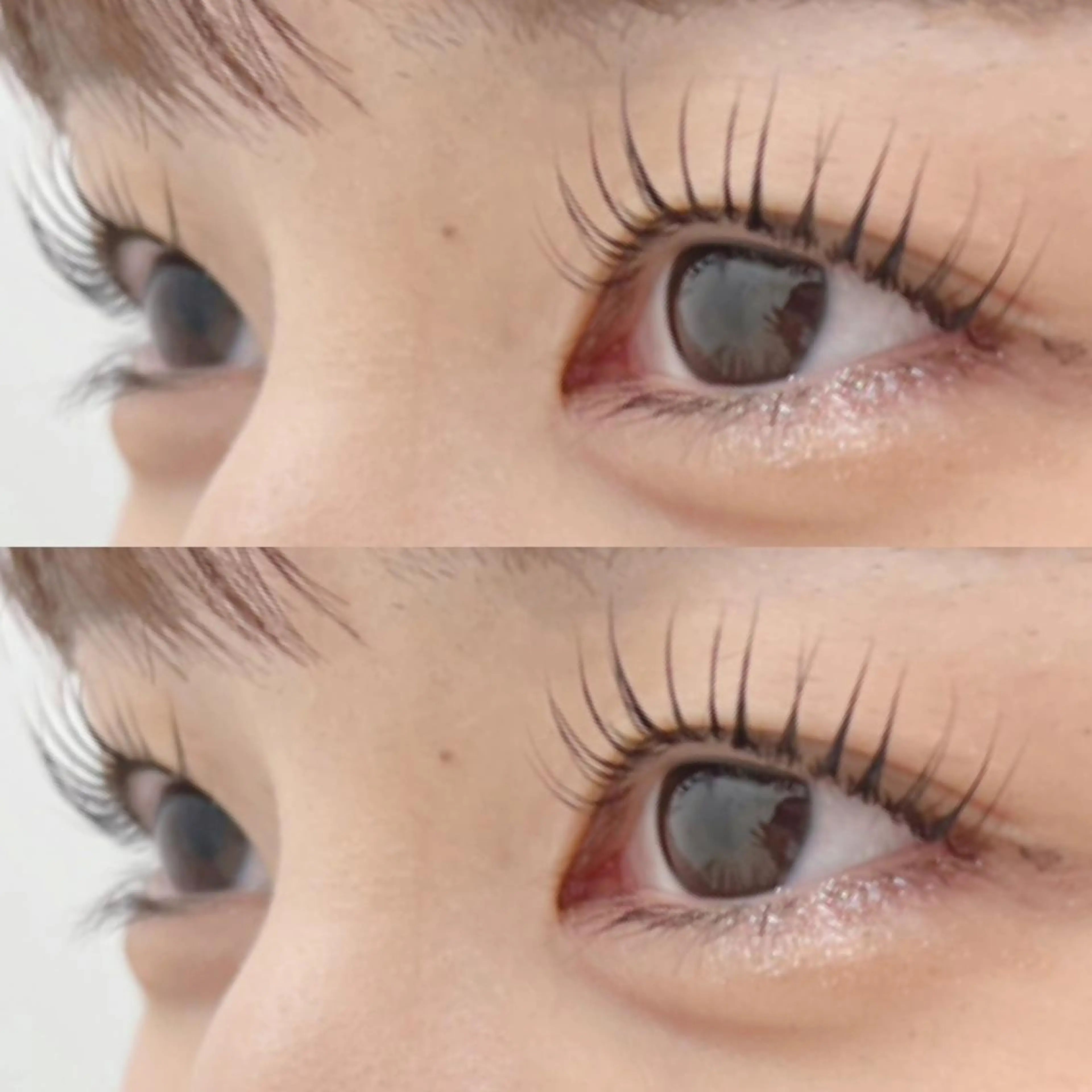 マツエク・マツパ マツパ collet eye 🤍 渡辺ほのかの眉毛・アイブロウイメージ