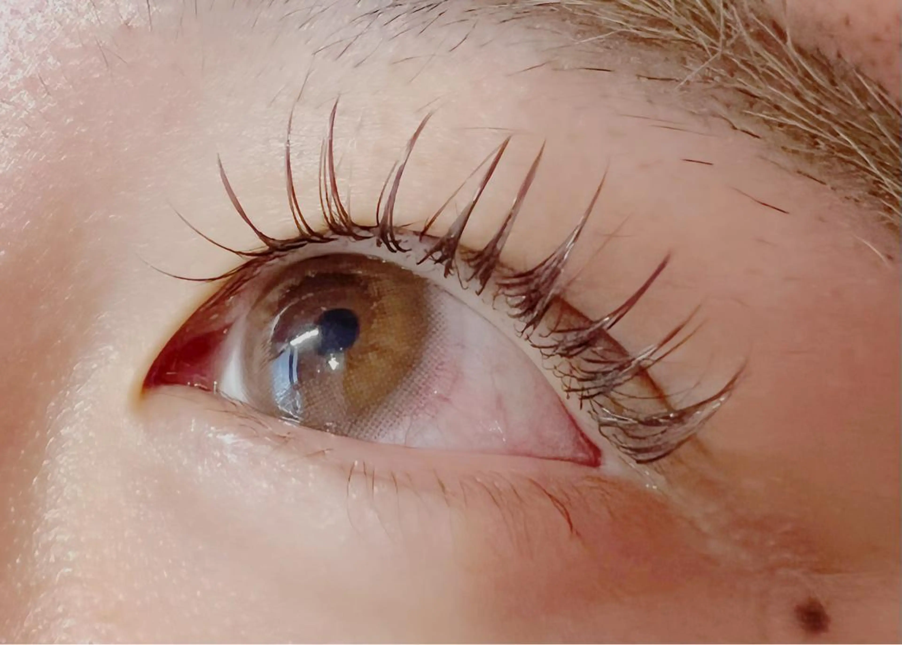 マツエク・マツパ カラーマツエク ナチュラル マツエク Celeste Venus所属・🧸Celeste Venusのマツエク・マツパデザイン