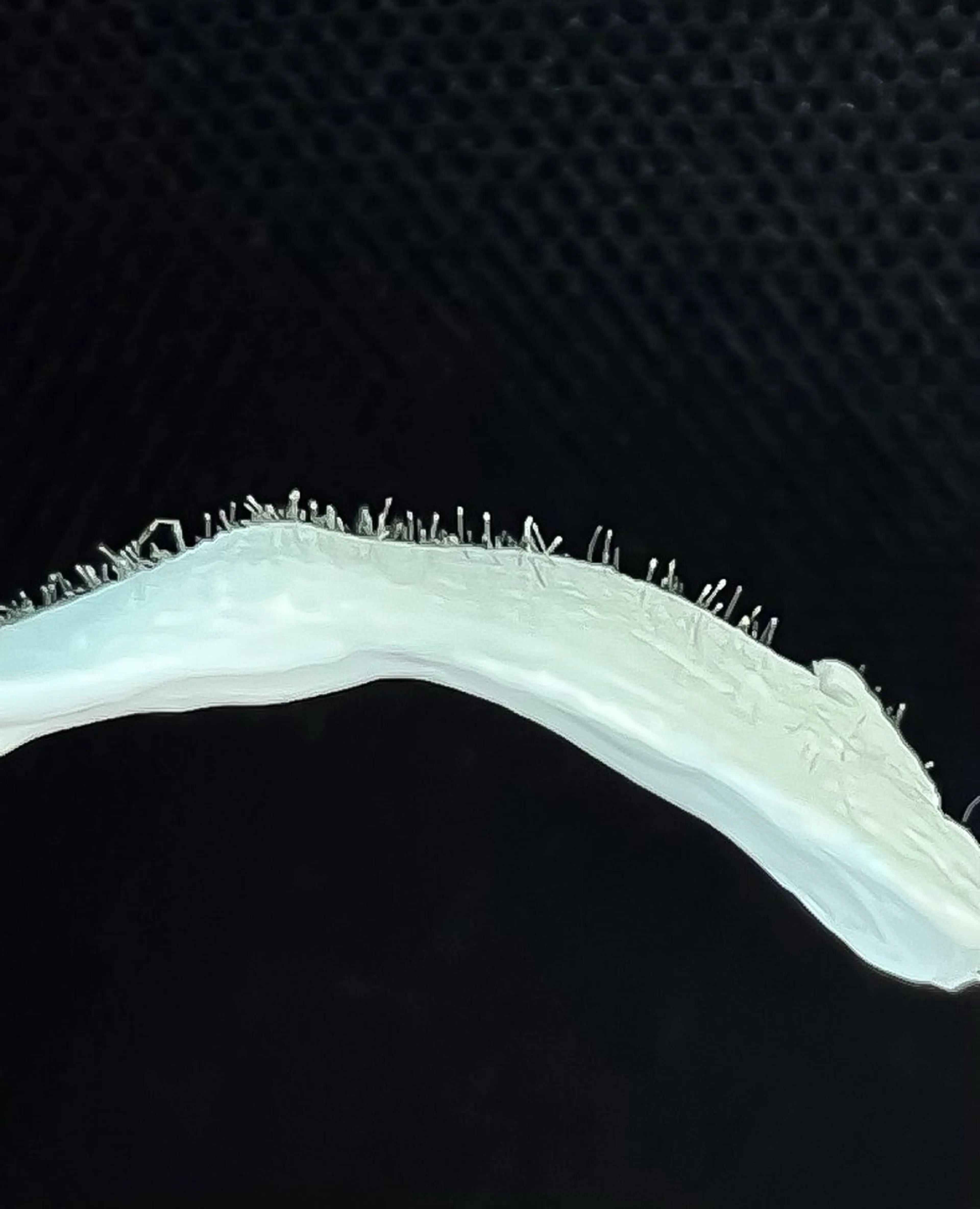 【wax】選べる1パーツ脱毛🤍(おでこ、頬、鼻周り、口周り、もみあげ)つるつるのお肌へ🌷補足説明をよくお読み下さいの写真