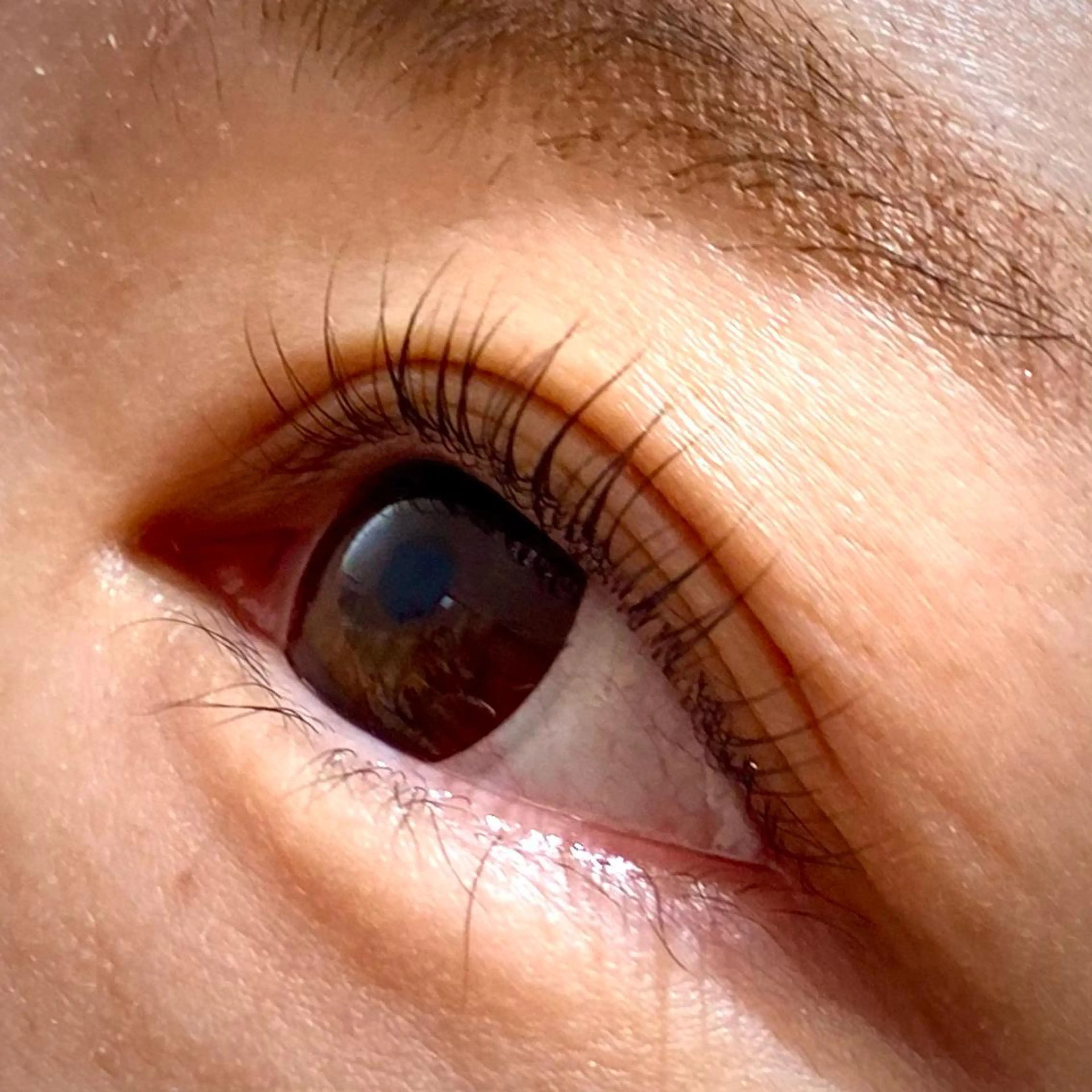 マツエク・マツパ chatran ishimochiのマツエク・マツパデザイン