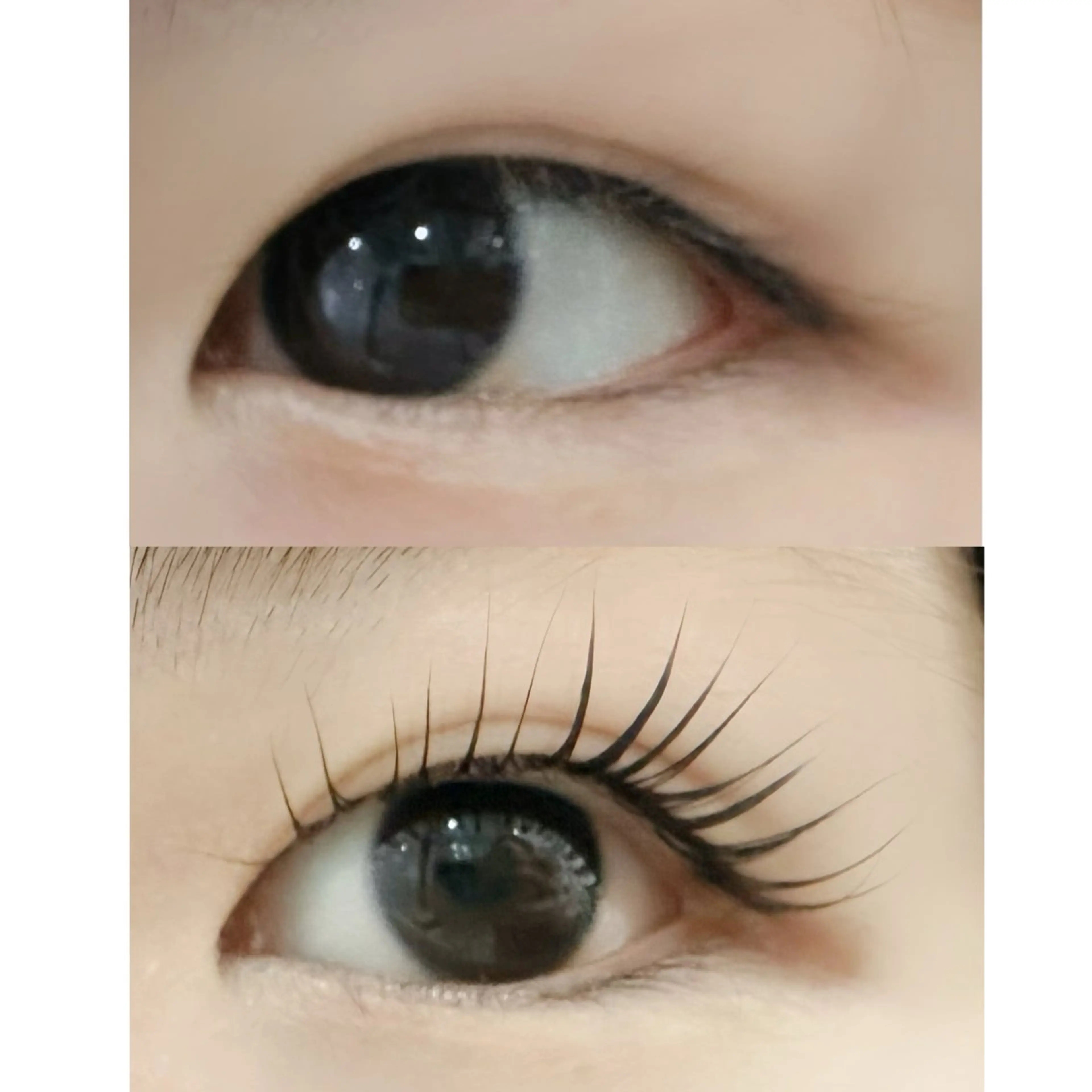 マツエク・マツパ Grace タケムラのマツエク・マツパデザイン