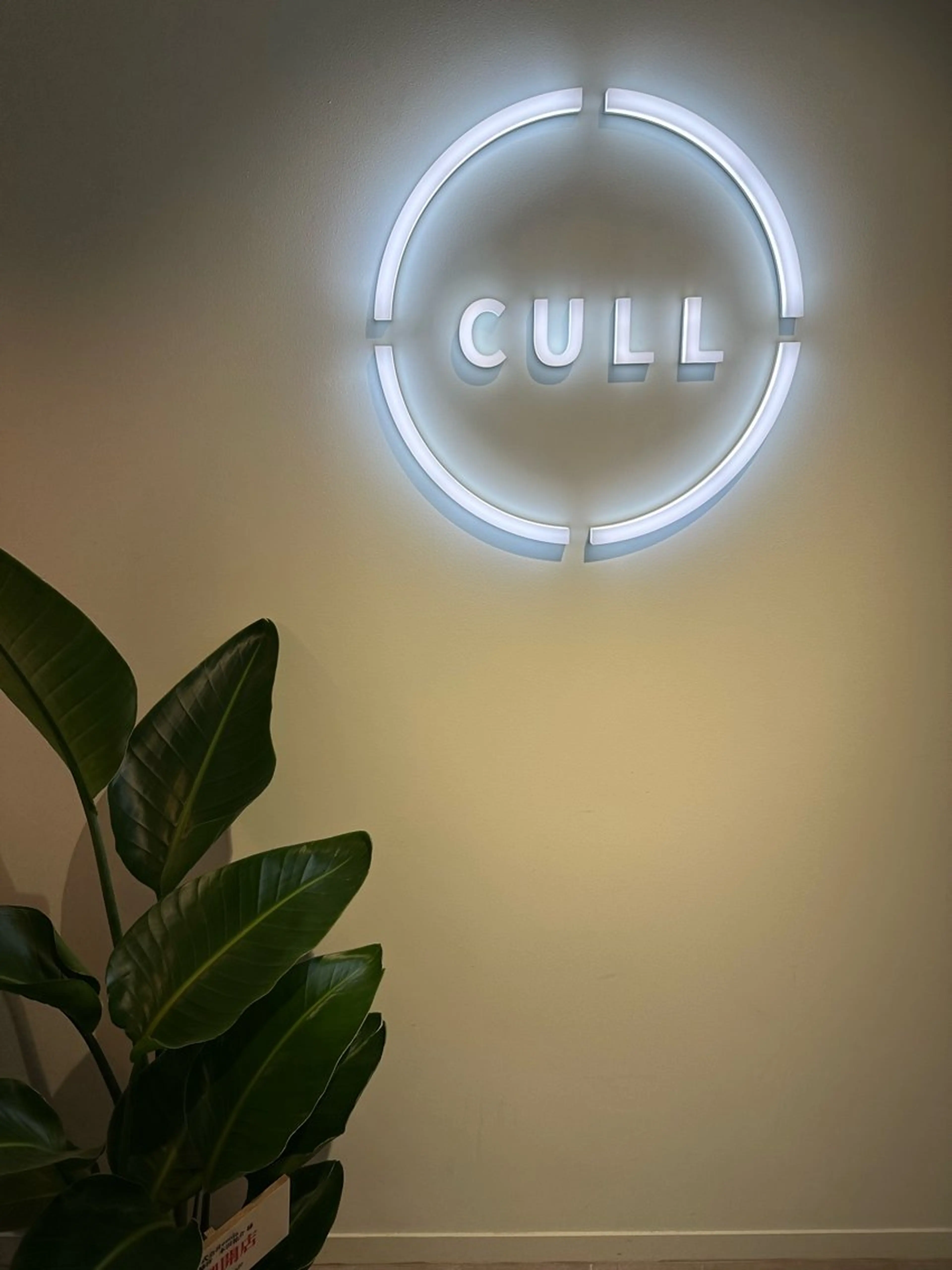 NEWOPEN割✨12月にご来店頂いた方限定✨ご来店の際に次回使える-500円OFFクーポンをお渡し致します❤️‍🔥の写真