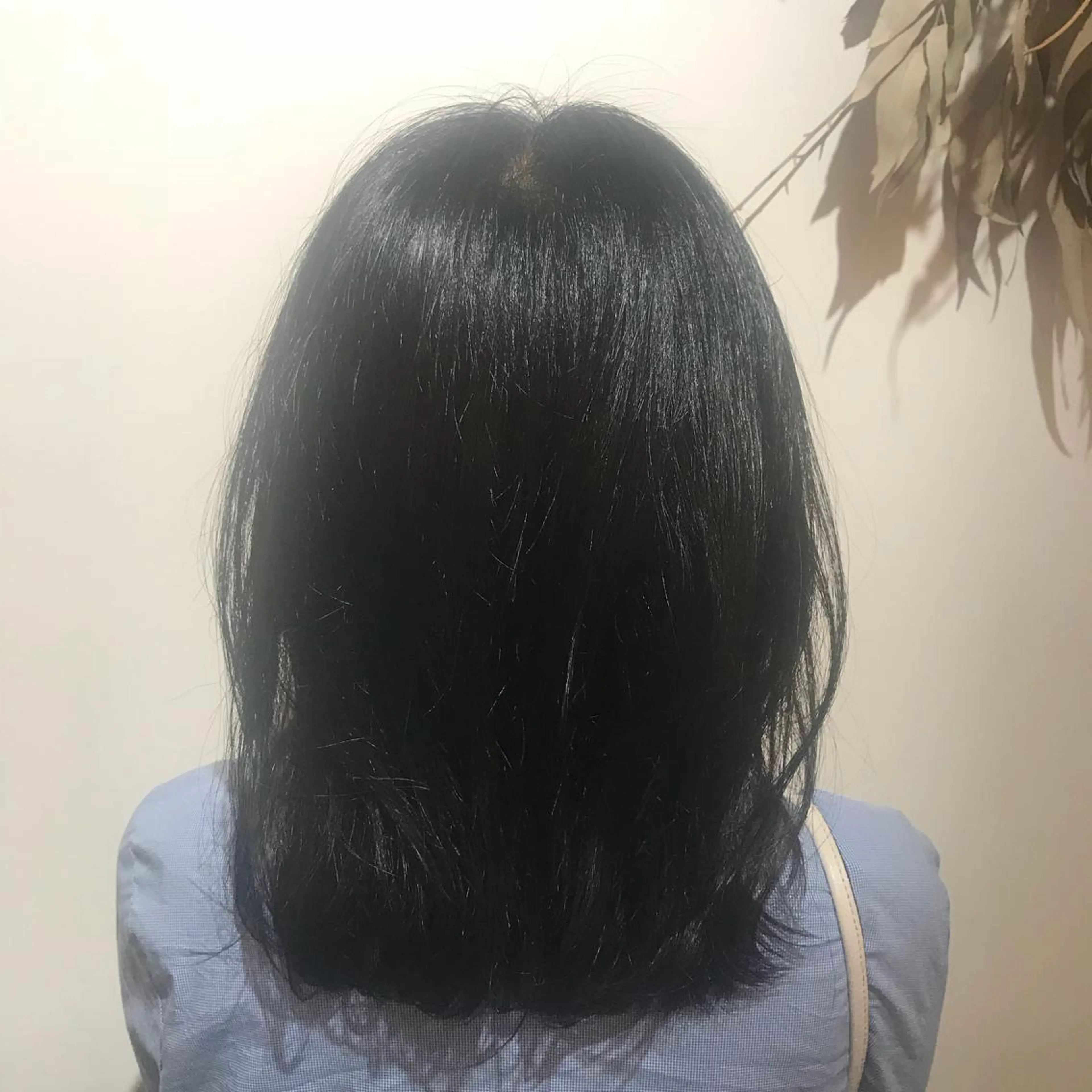 セミロング カラー ブルーカラー 透明感カラー ボブ/透明感カラー 岸本涼奈のヘアスタイル