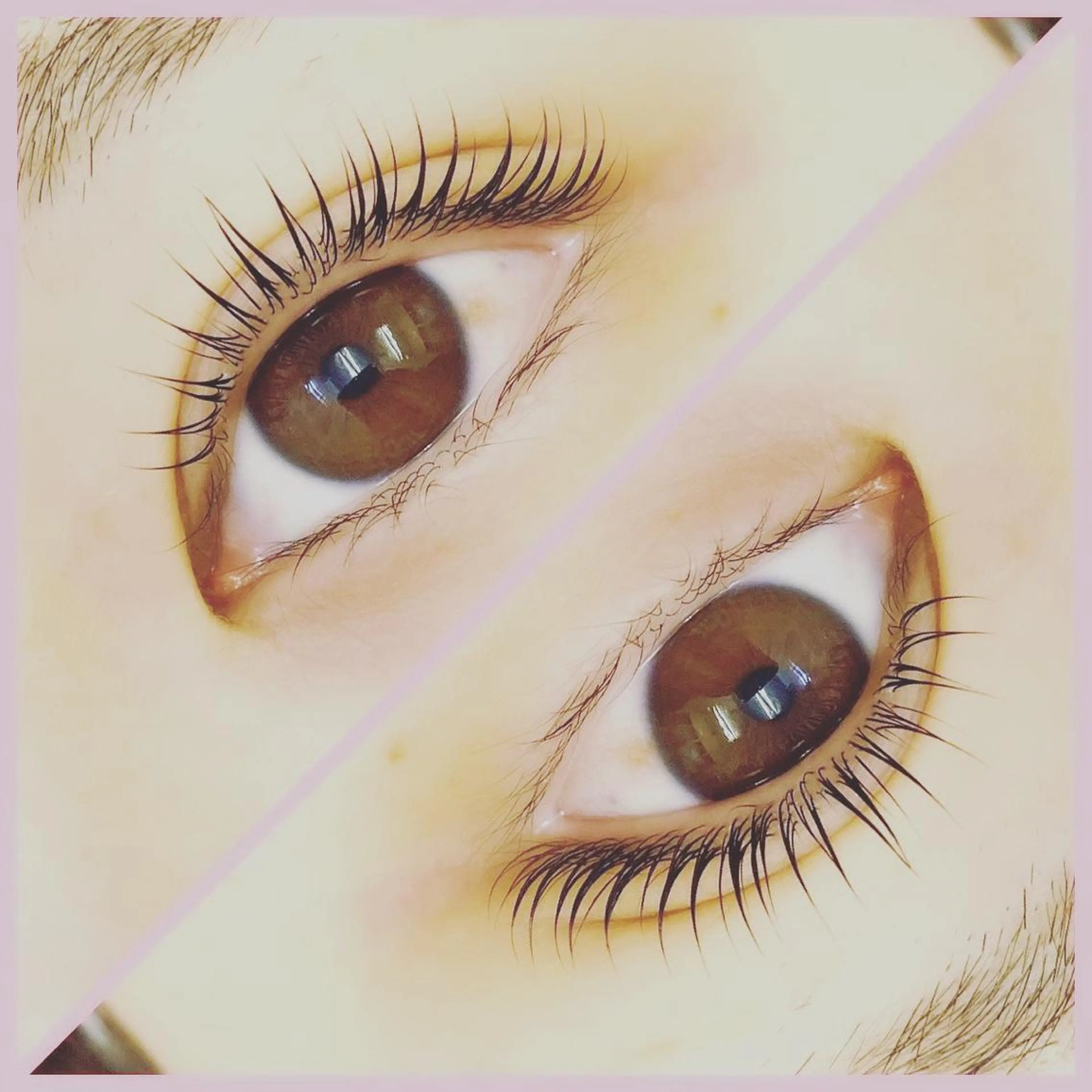 オーダーメイドまつ毛パーマ🌞上のみ🌿minimo限定アイシャンプーサービス🍀の写真