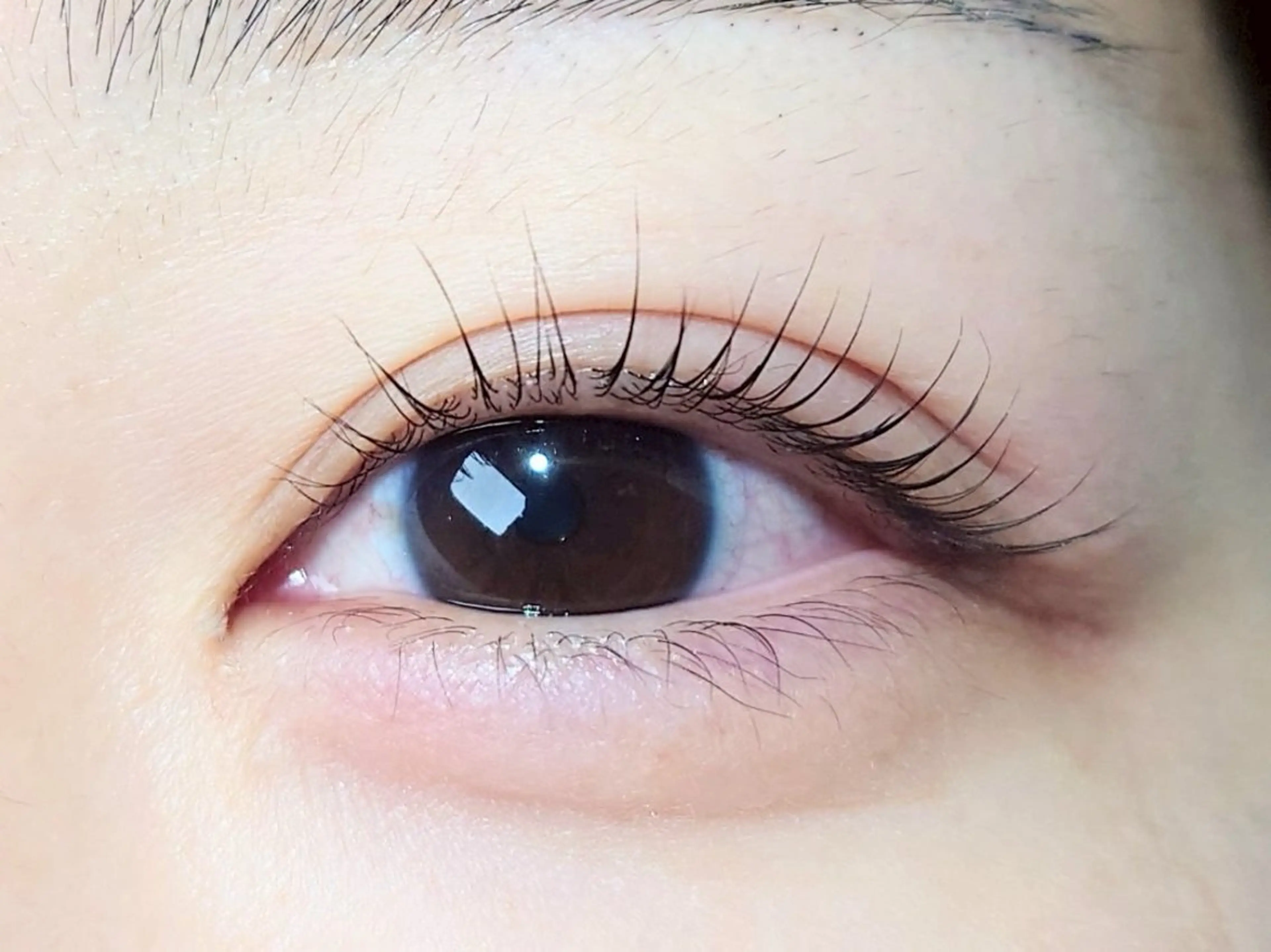 パーマ joieange Eye🦋のマツエク・マツパデザイン