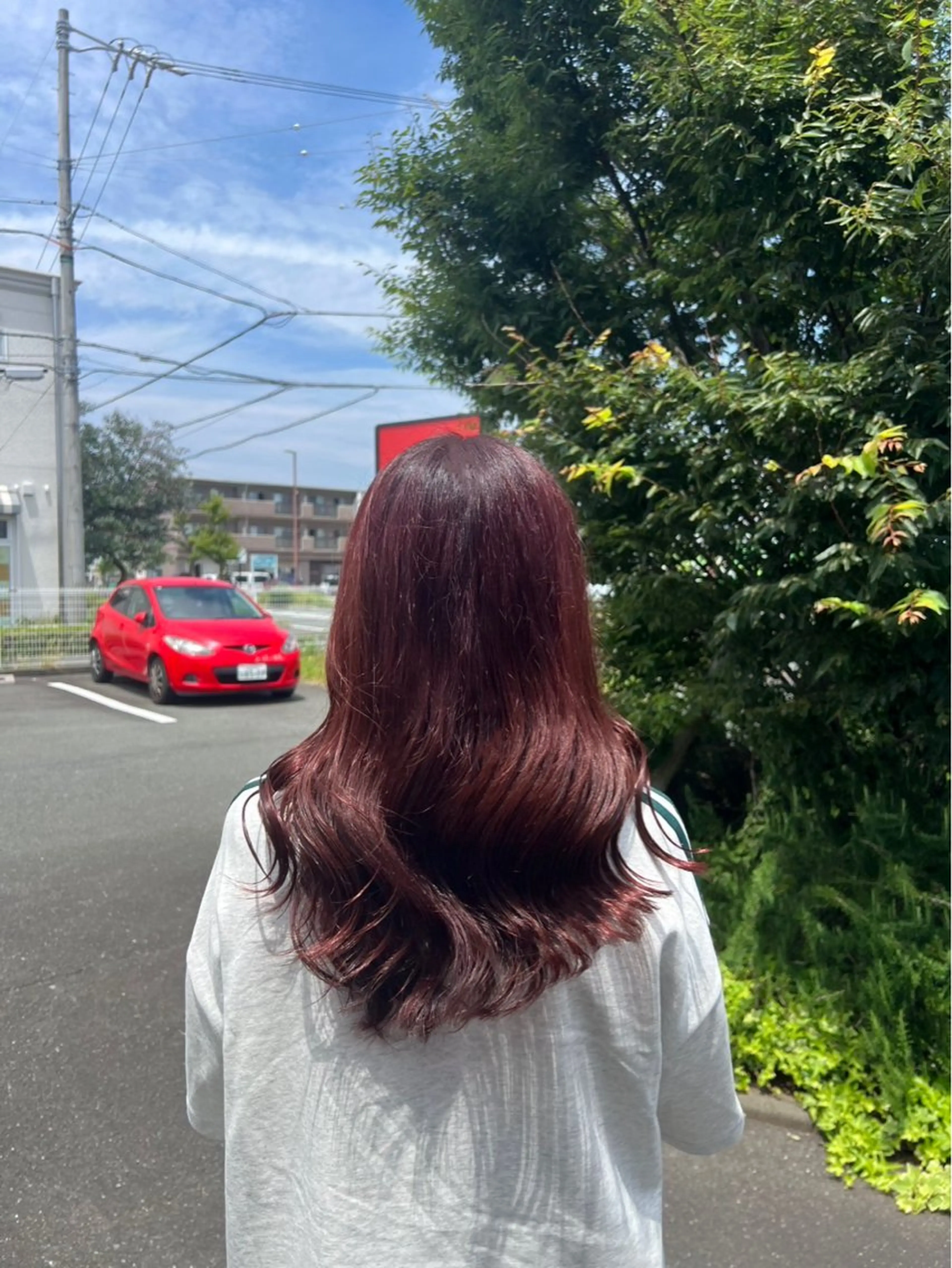 カット＋全体カラーの写真