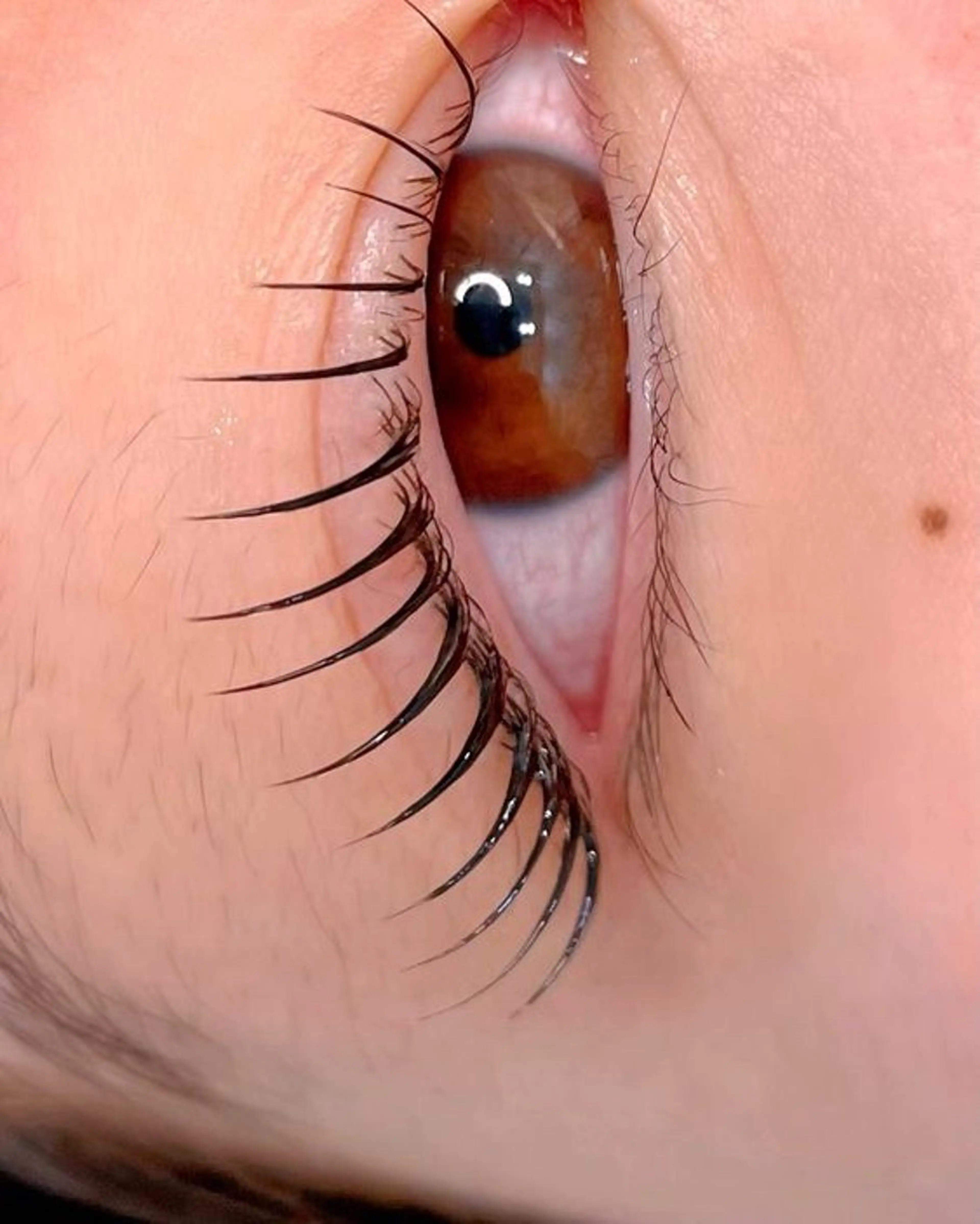 マツエク・マツパ Lau【ラウ】所属・Lau【ラウ】 ⁂NaNaのマツエク・マツパデザイン