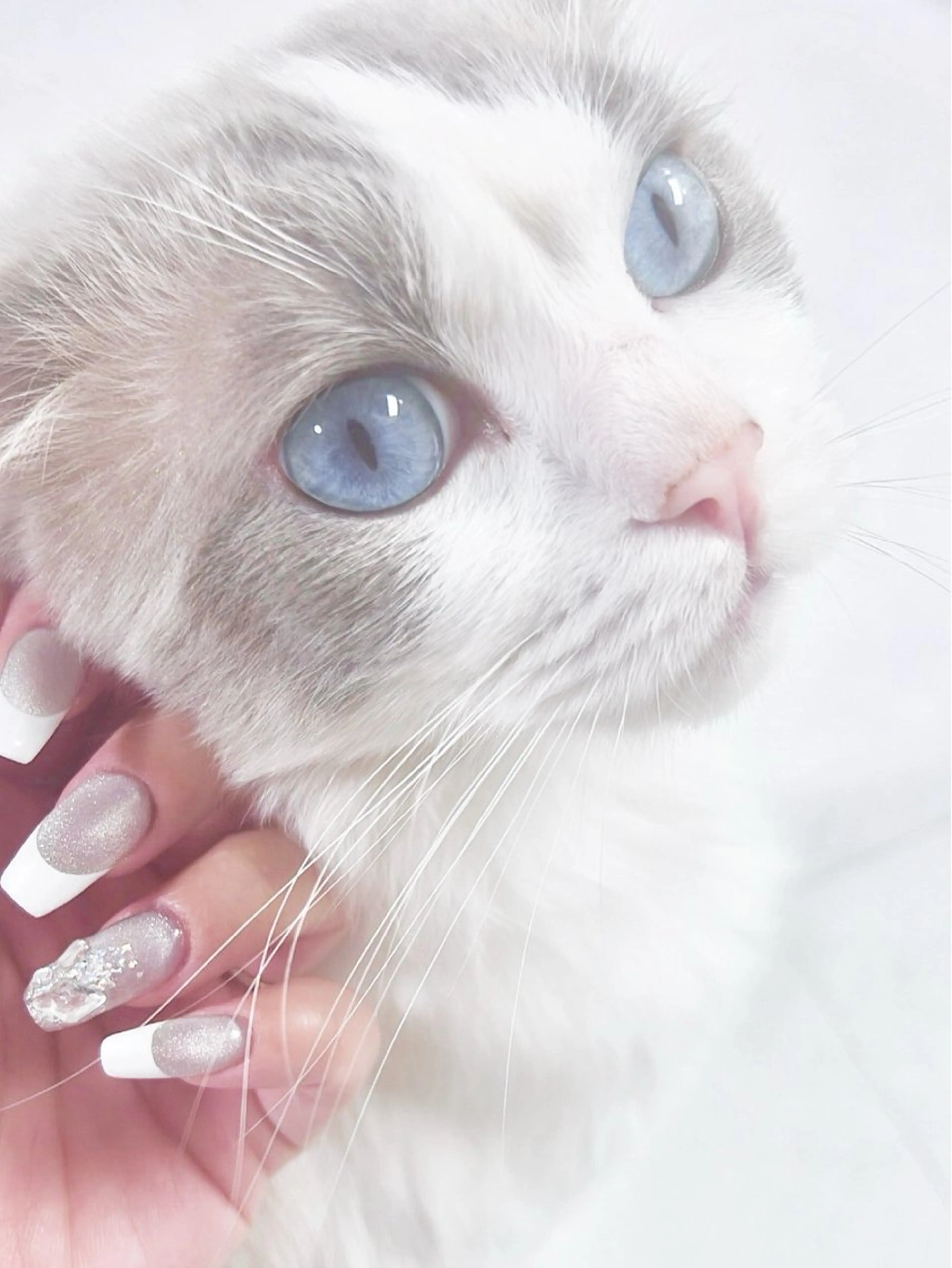 ネイル ハンドネイル Chun Nailのネイルデザイン