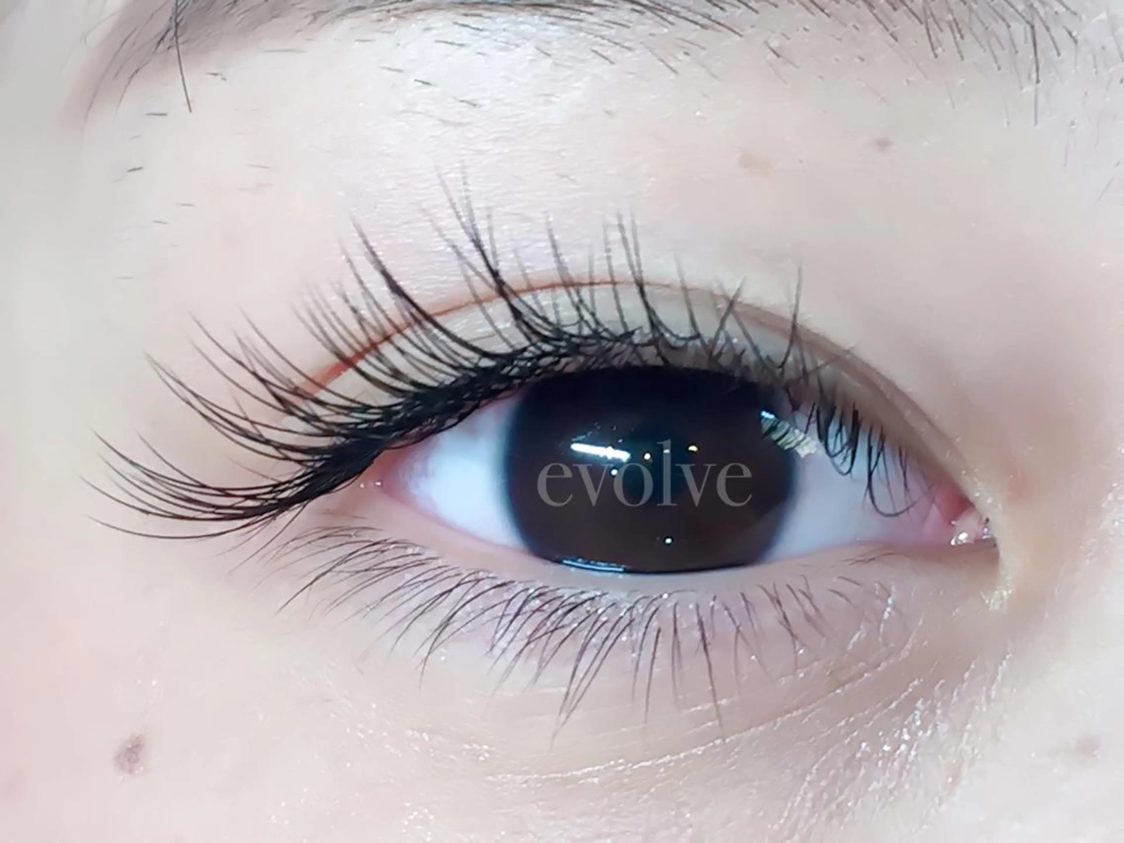 マツエク・マツパ Jカール マツエク evolve by TypeAB所属・evolve  by TypeABのマツエク・マツパデザイン