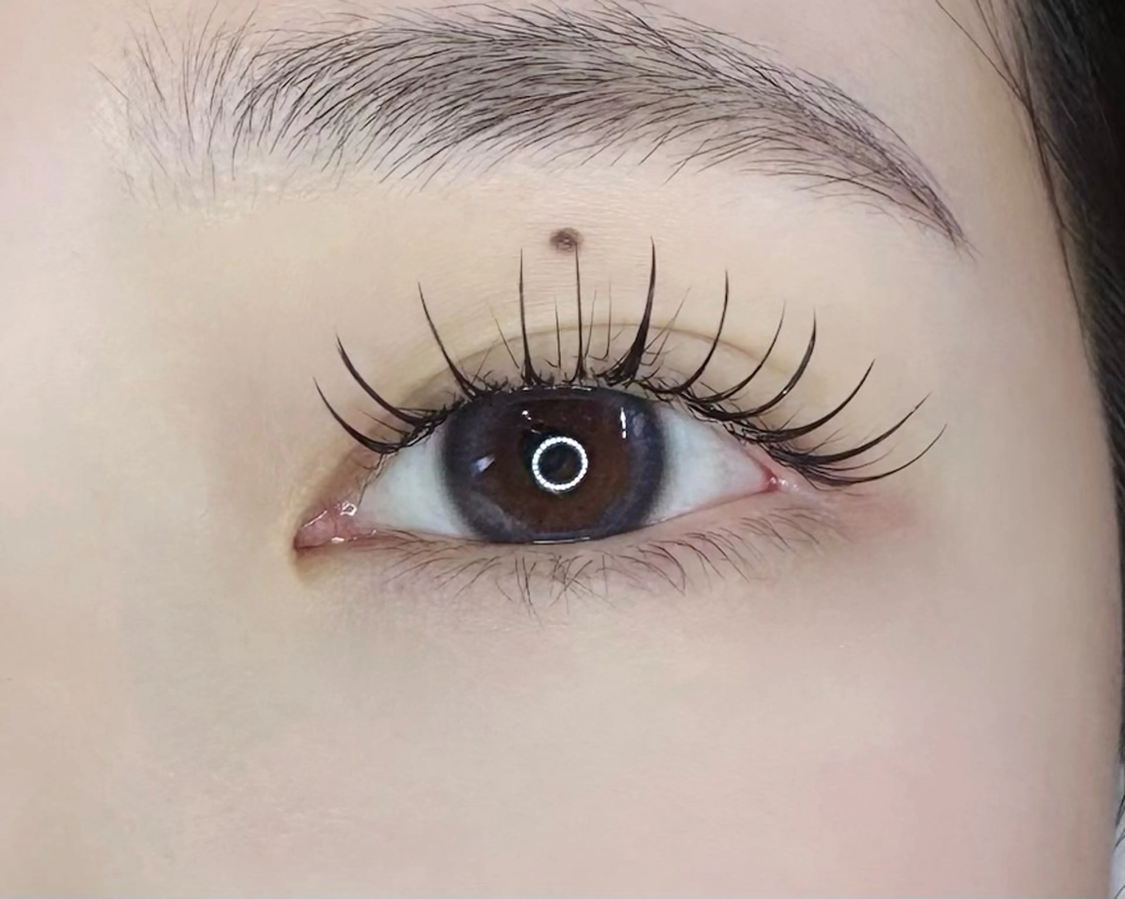 パリエク（ラッシュリフト+フラットマットラッシュ）140本までの写真