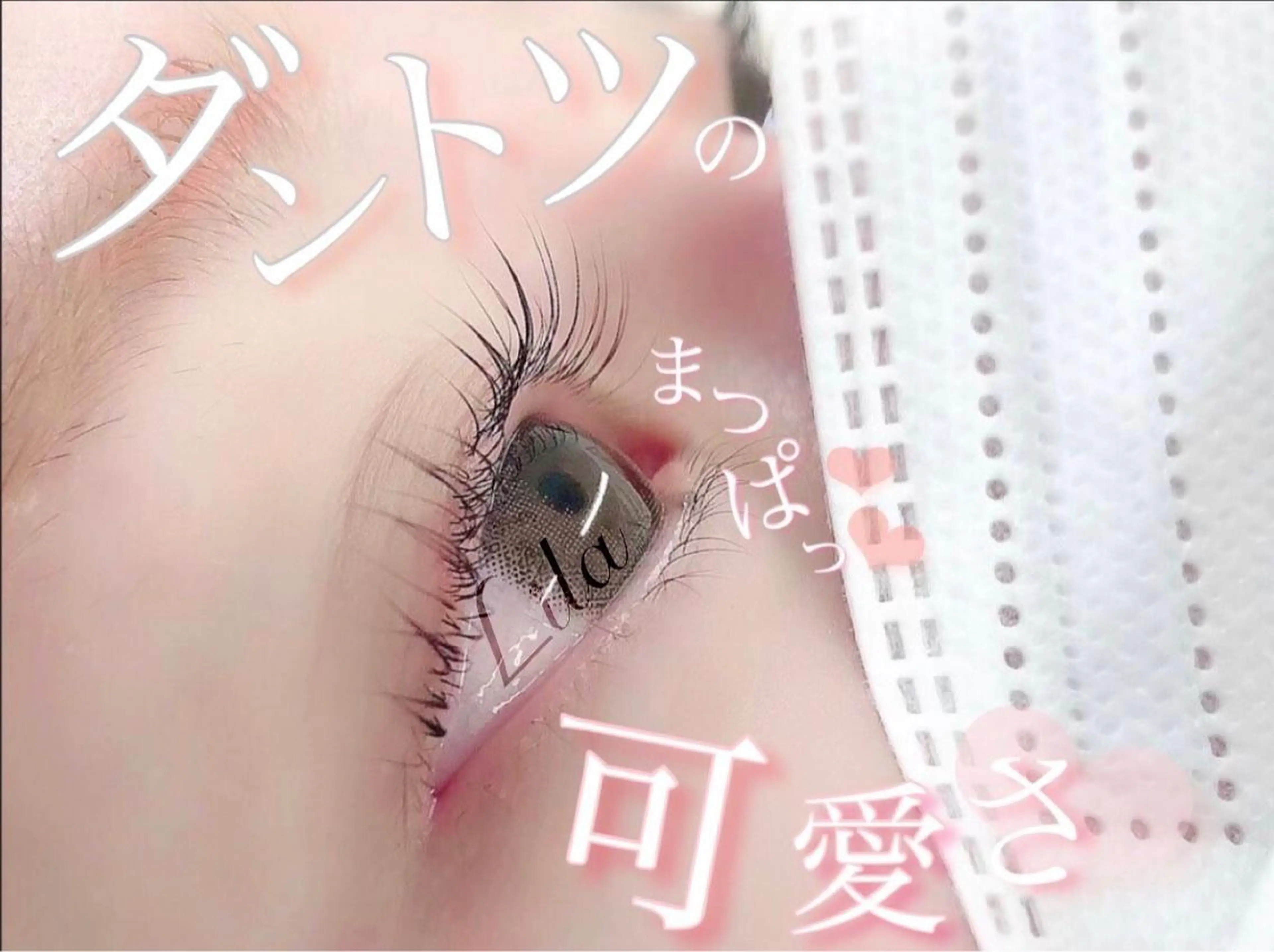 マツエク・マツパ 無料🍀ECREA ✨エクステモデル募集のマツエク・マツパデザイン