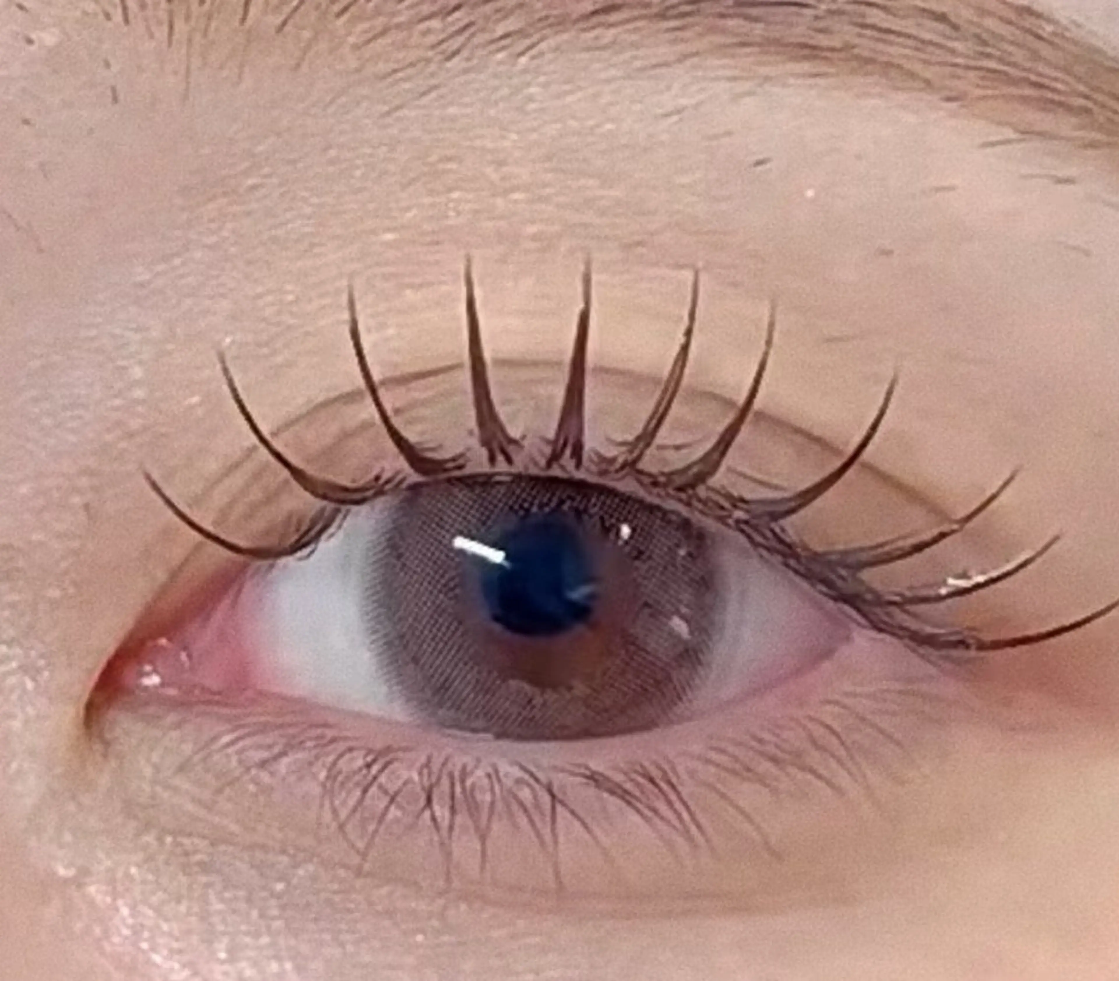 🔶パリエク🔶パリジェンヌ➕フラットラッシュ80本 アイシャンプー付き🉐LED+1000の写真