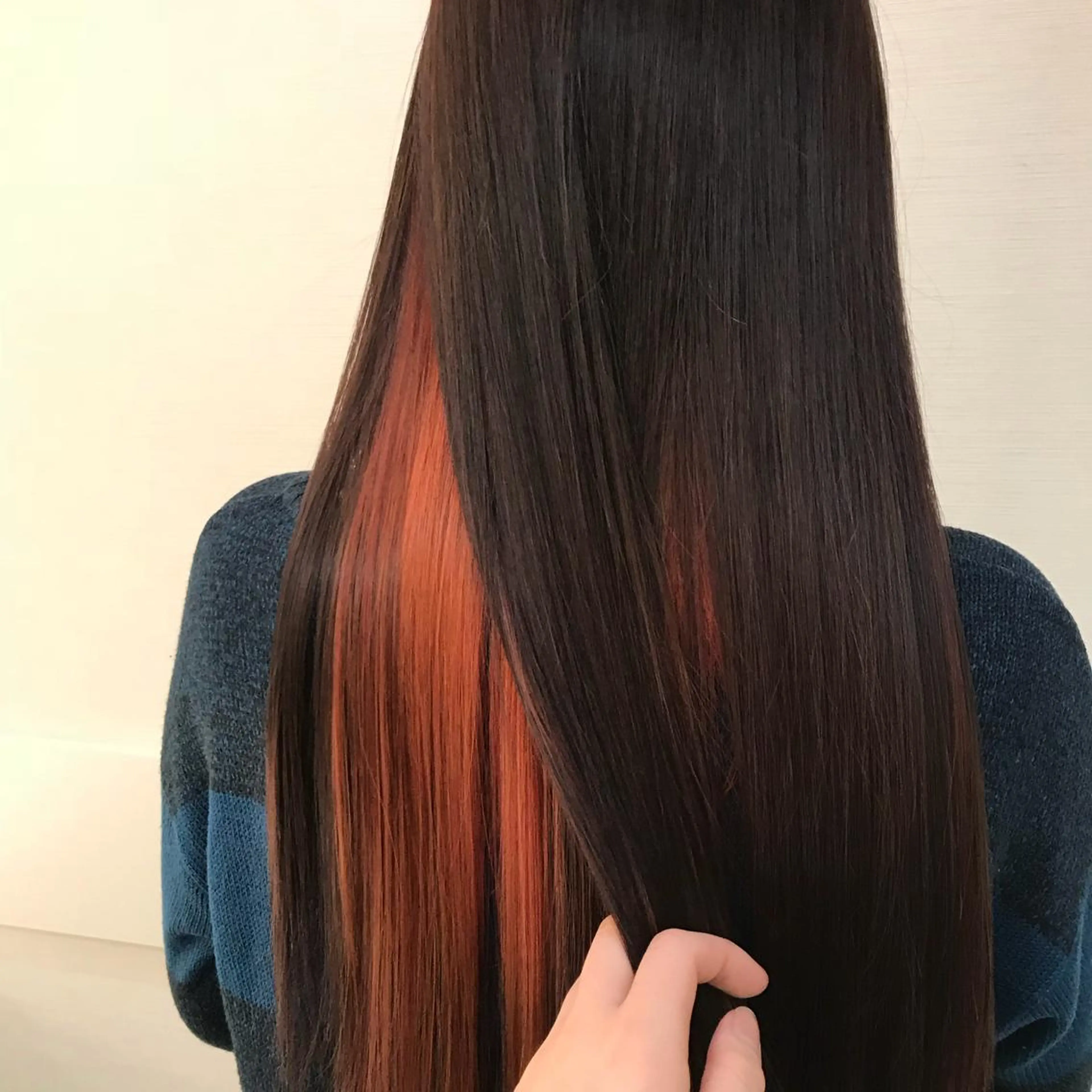 ロング カラー インナーカラー レッドカラー ハイライト✖️ 暗髪🤎Nahoのヘアスタイル