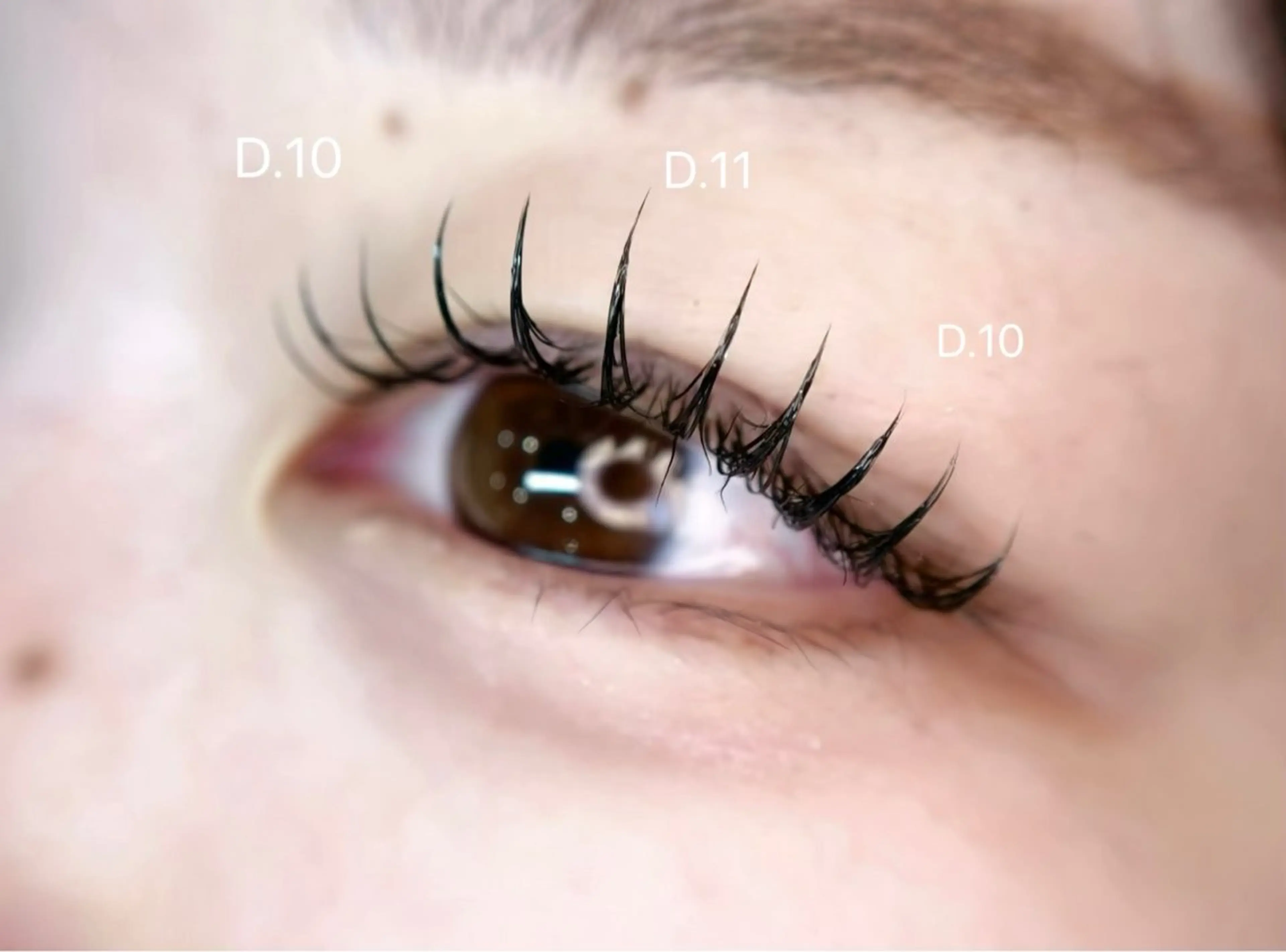 マツエク・マツパ eyelash&nail　Liora所属・Liora川越 YUIのエステ・リラクイメージ