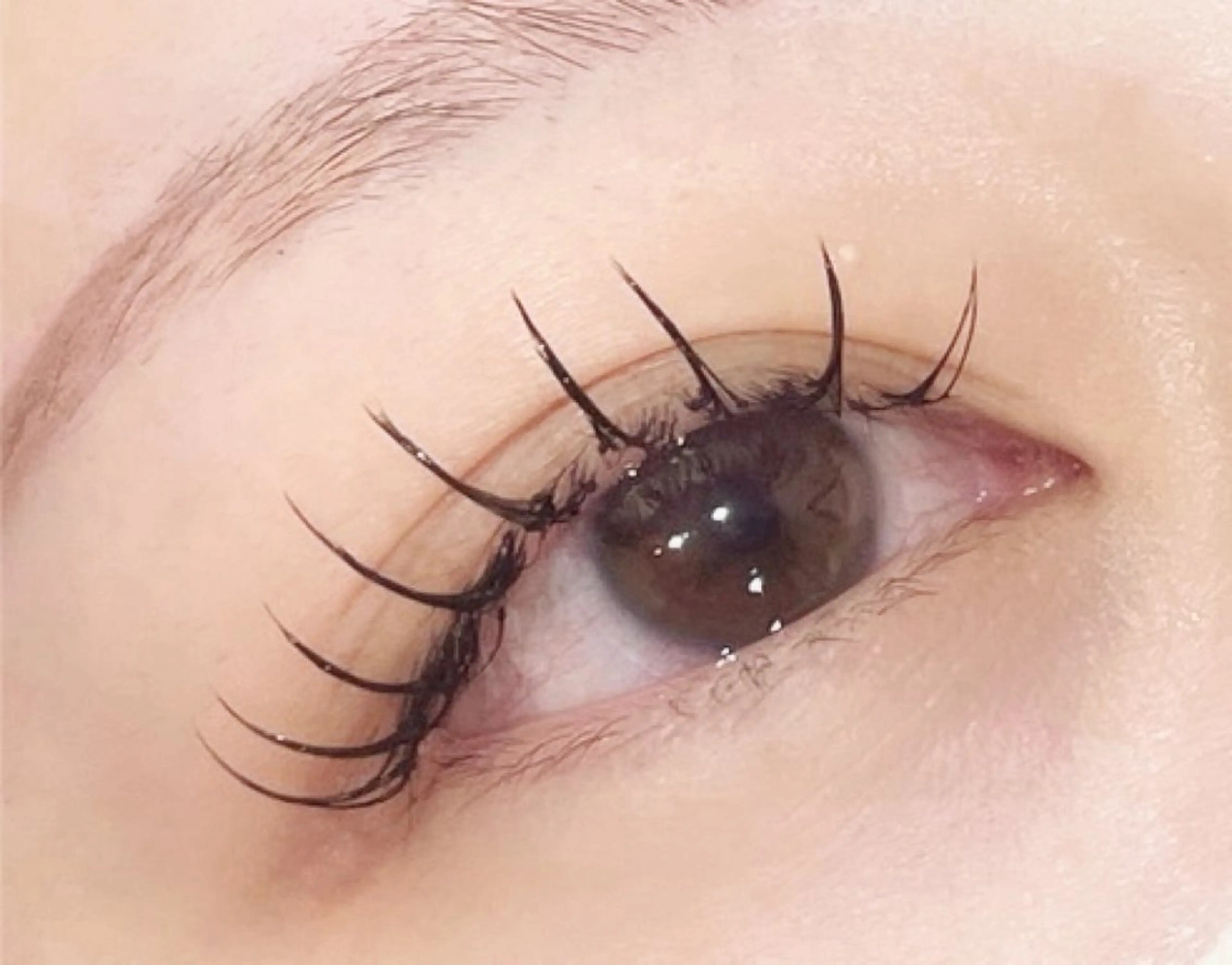 マツエク・マツパ Rairia Ryokoのマツエク・マツパデザイン