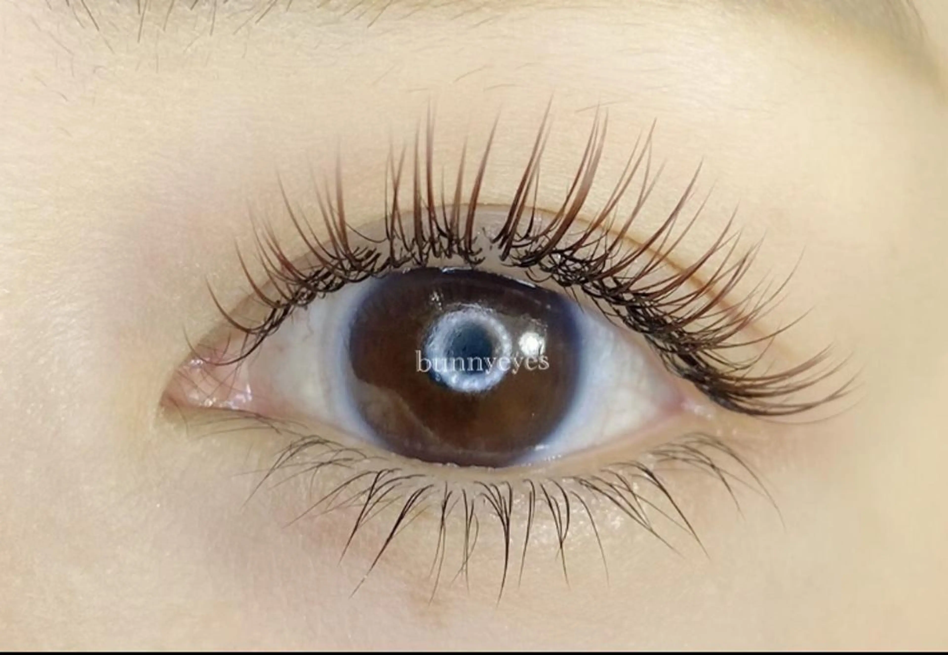 マツエク・マツパ Bunny eyes NEWOTANI博多のマツエク・マツパデザイン