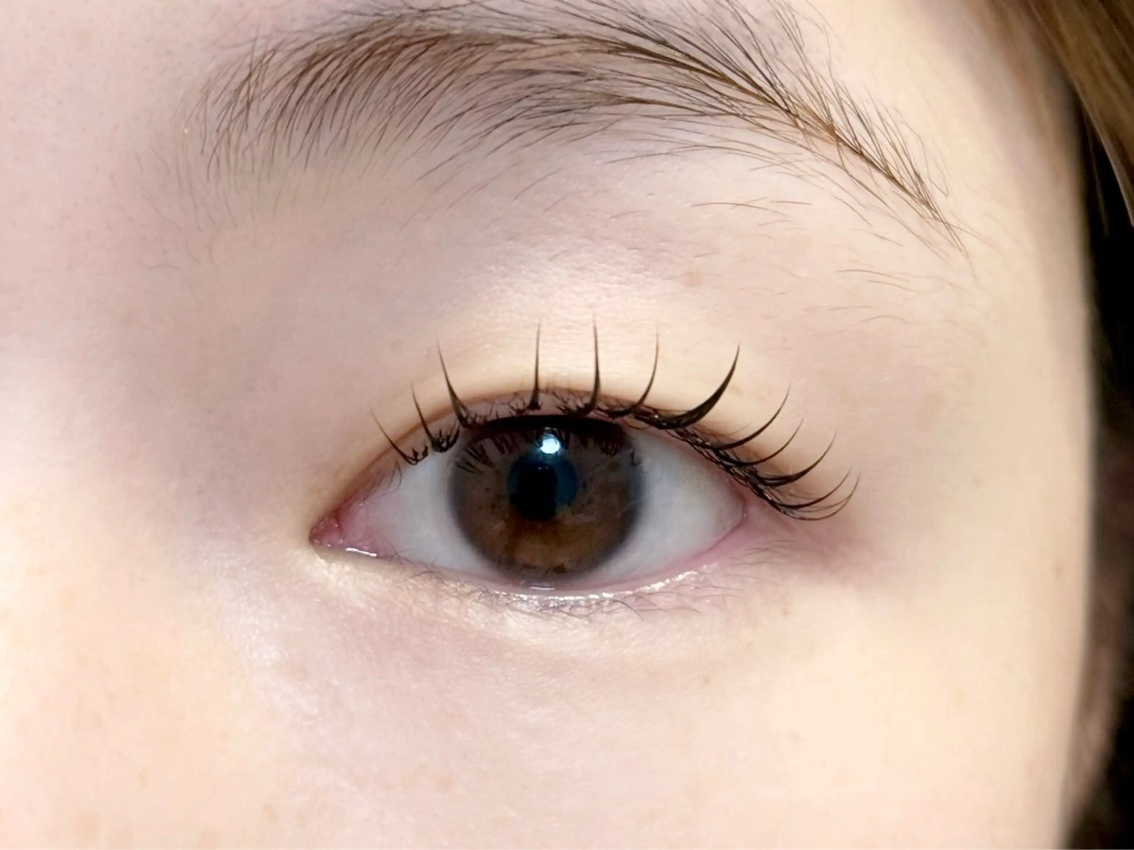 マツエク・マツパ マツパ Leola ERIKAのマツエク・マツパデザイン